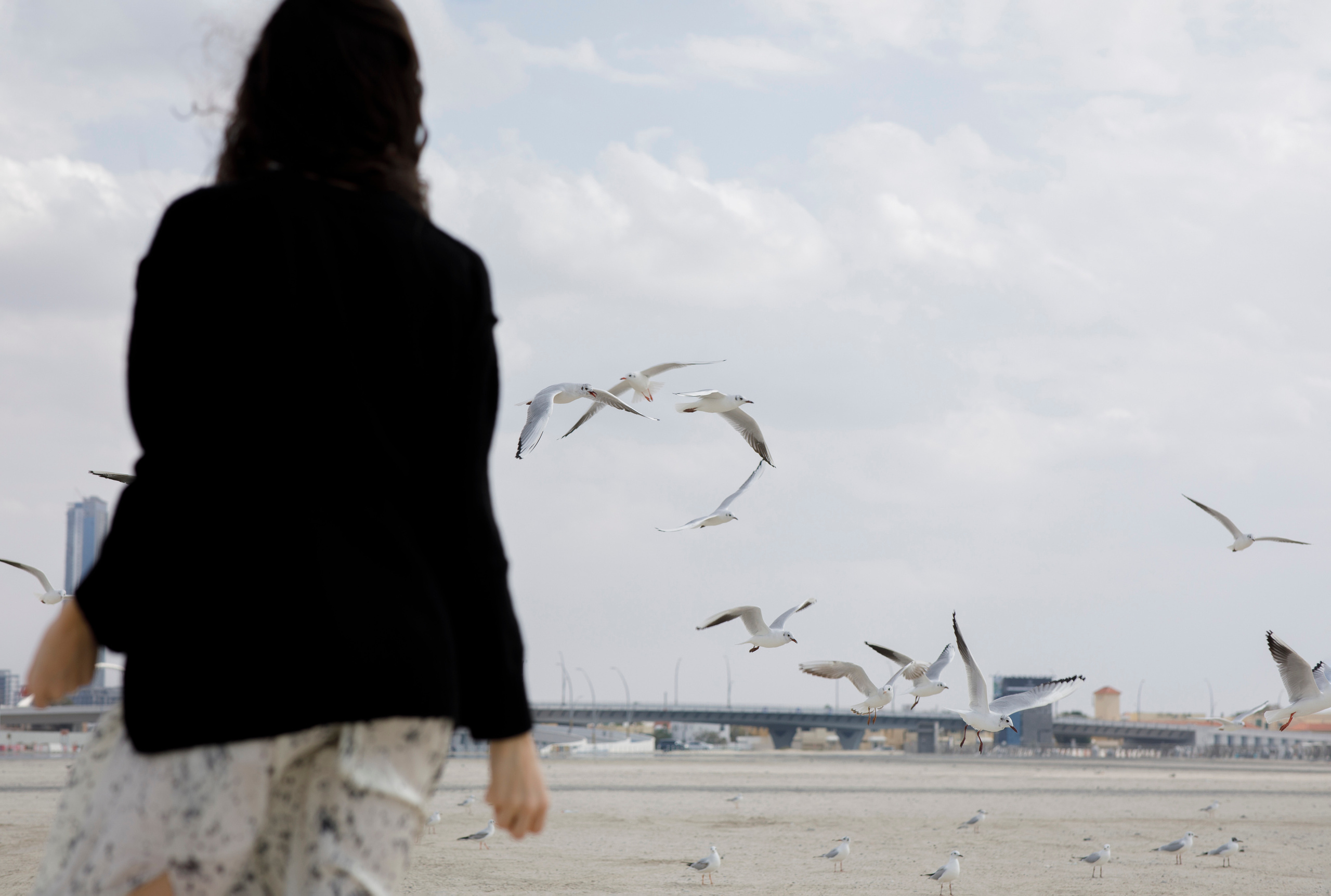 Dubai landscape. Main