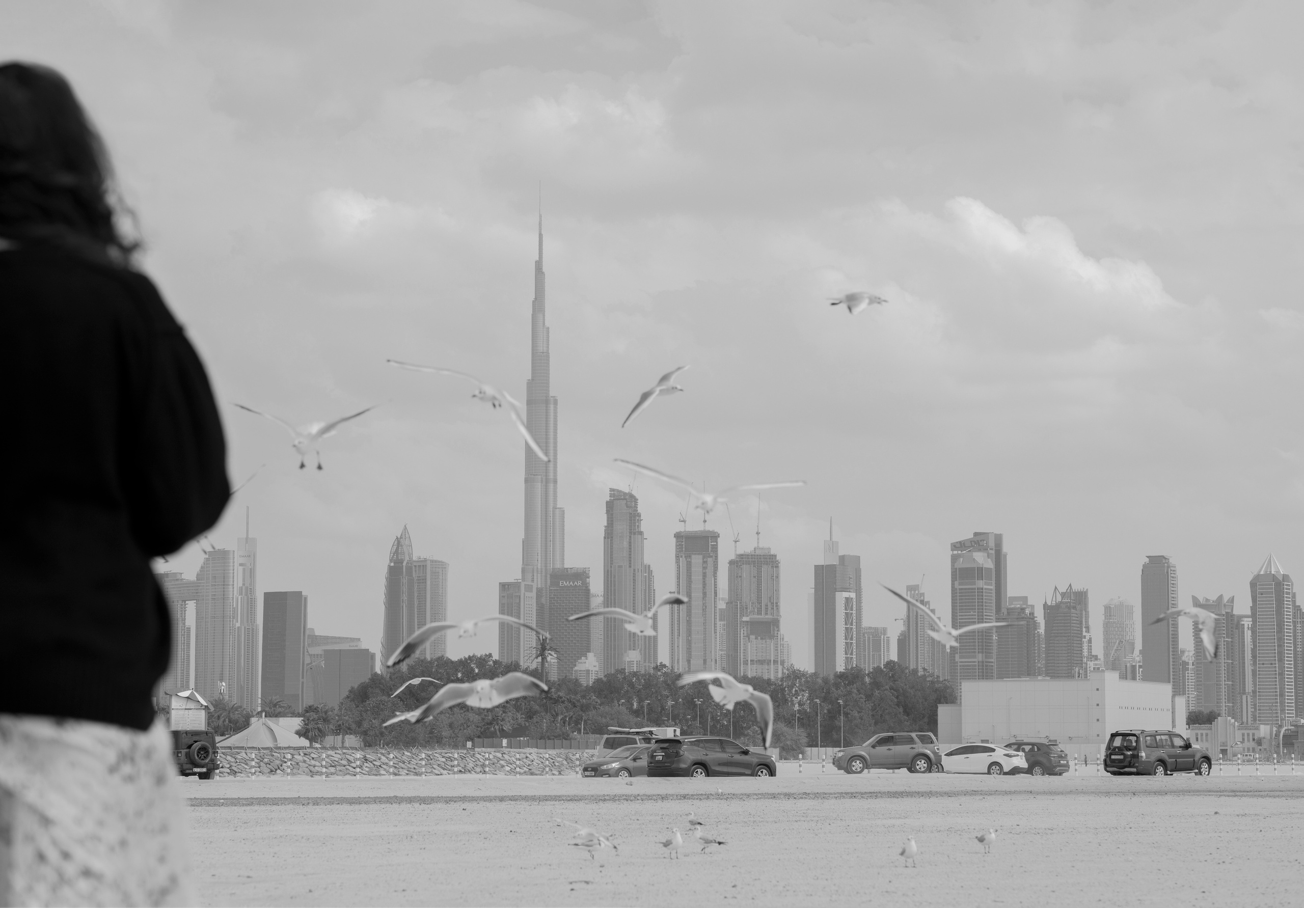 Dubai landscape. Main