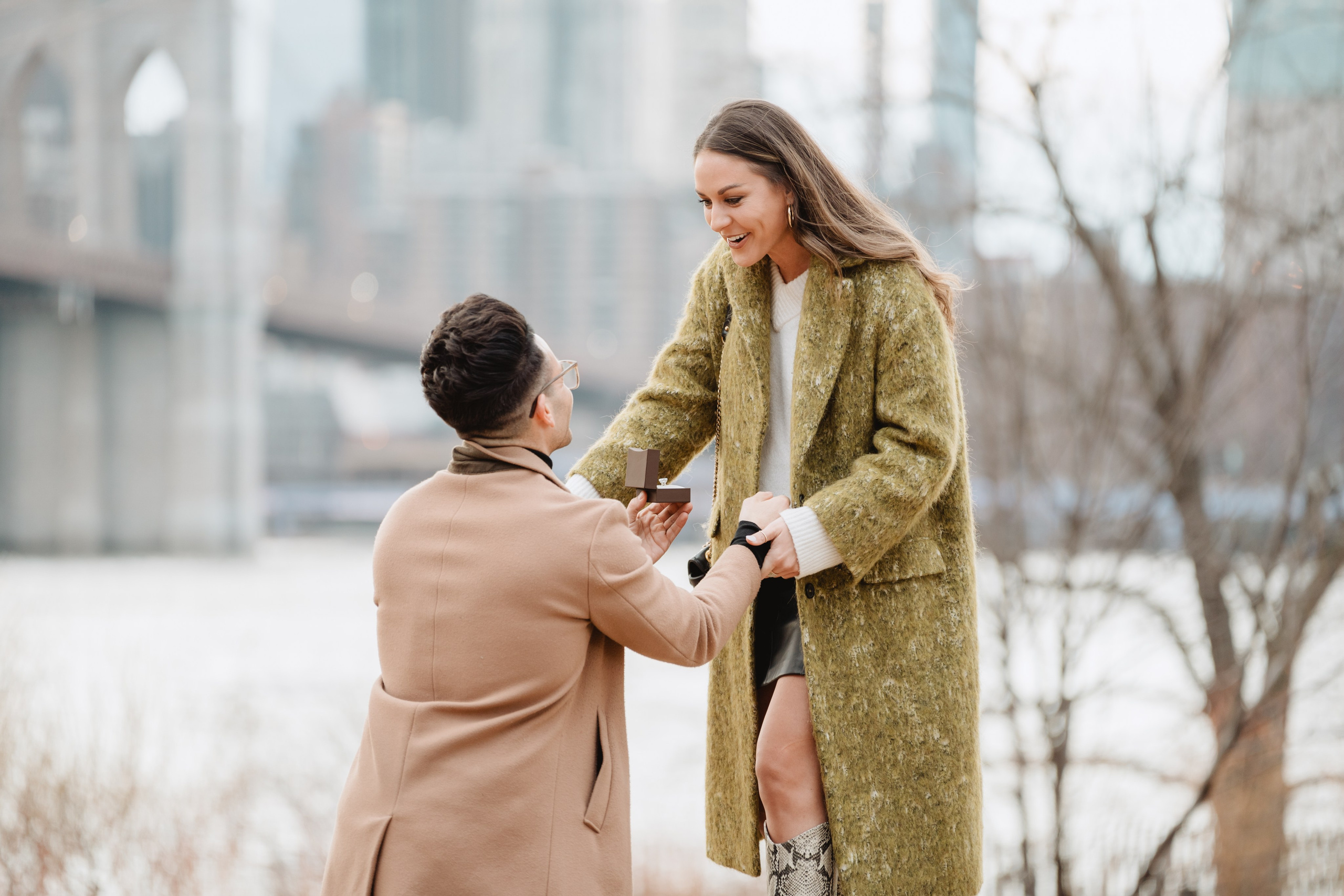 Castenzio&Brenna Proposal. Photographer in New York Faery By Mary
