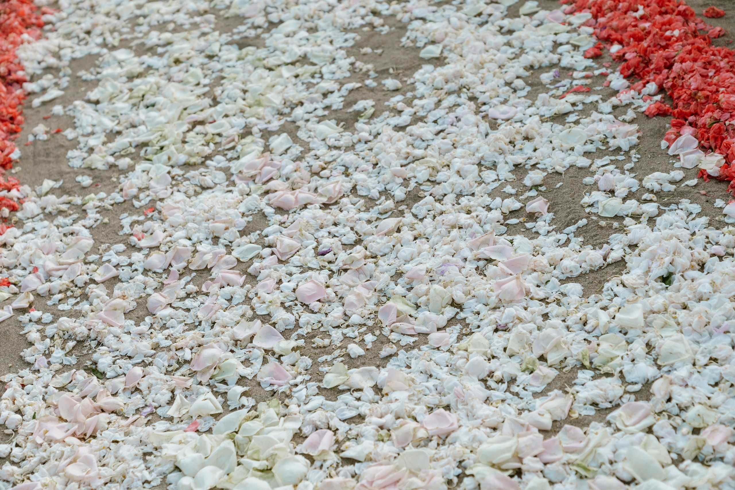 Ethan & Alyshia. Female Photographer in Bali