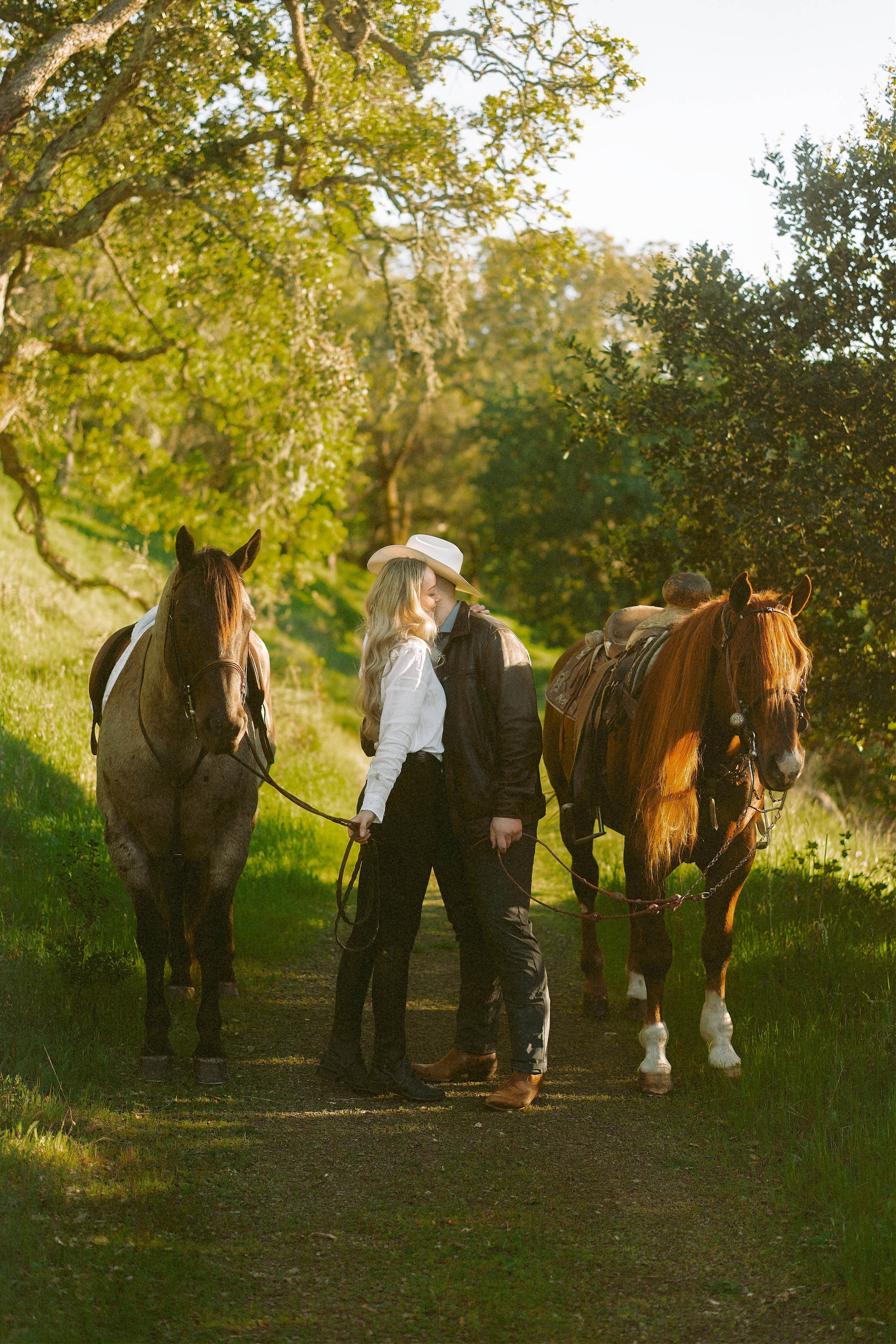 Engagement with Horses, Napa, Northern California. Wedding Photography & Videography Team in California, Los Angeles, San Francisco, San Diego and Travel