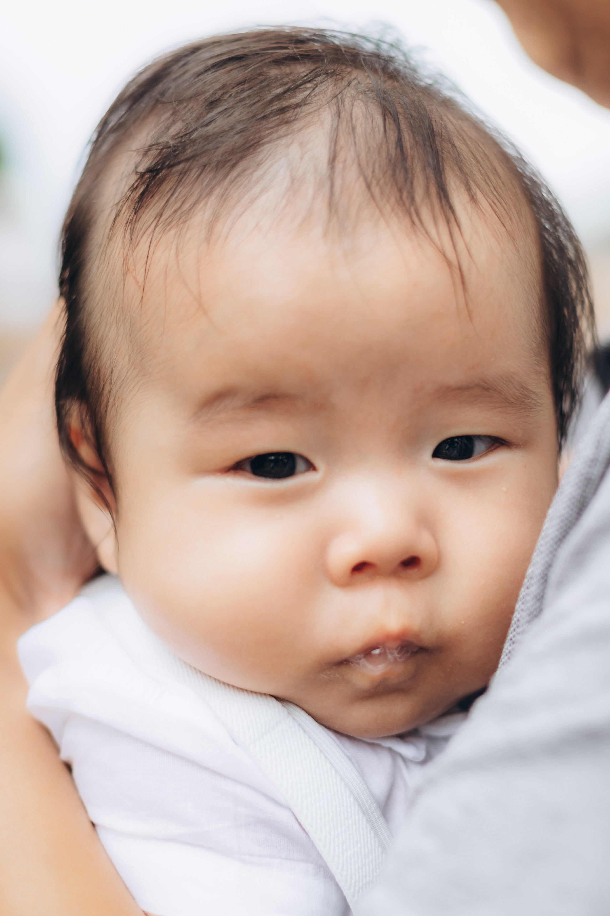 José Moacir. Principal
