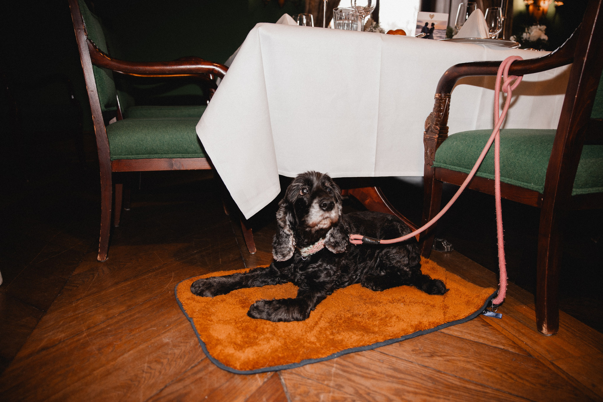 Louisa & Niklas | Schlosshotel Hugenpoet. Photographer in Bochum Dolia Halyna