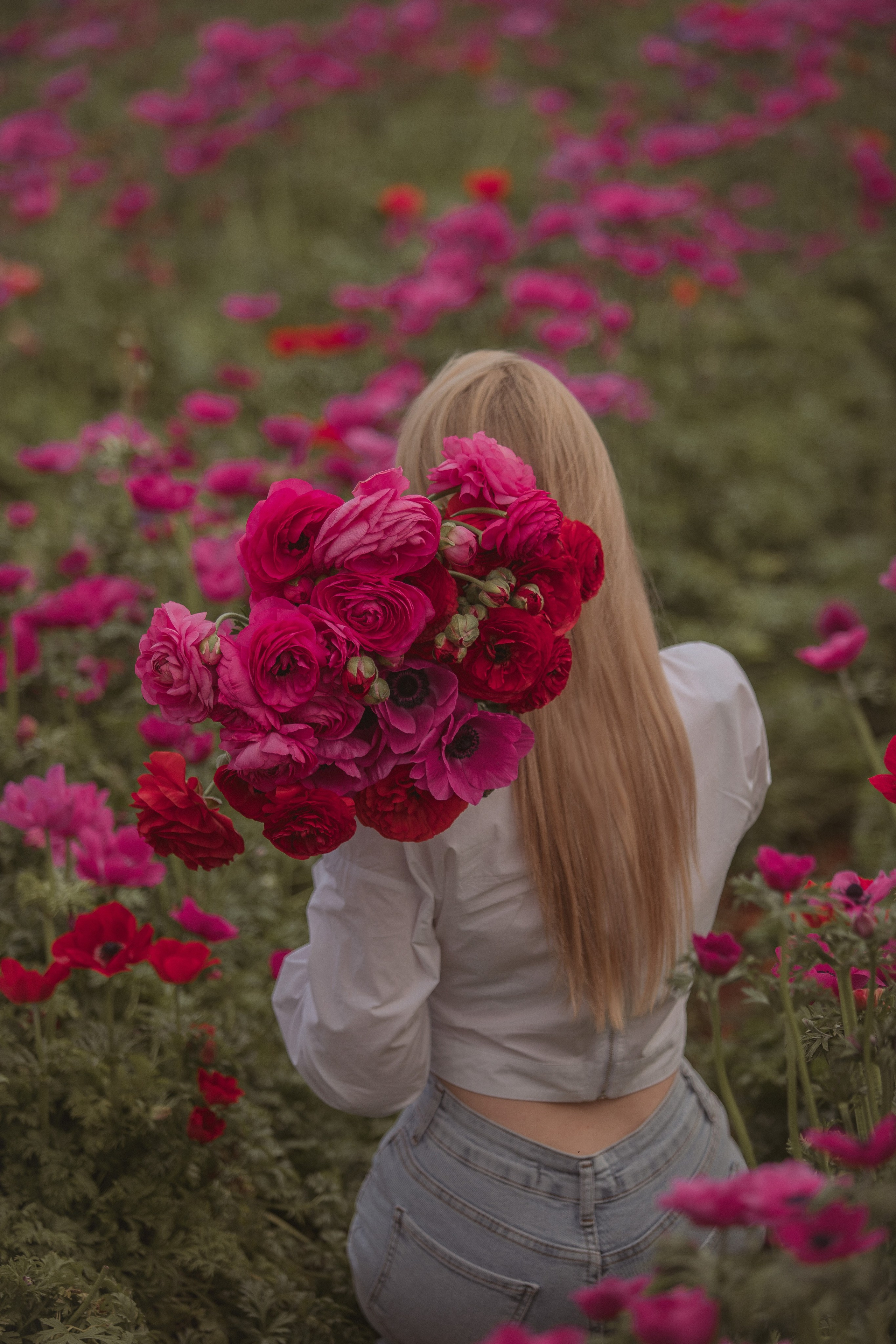 Цветы в Анталии. Цветочные плантации в Анталии. Фотосессия на цветочной плантации. Цветочные поля. Календарь цветения в Турции. Парники теплицы Турция Анталия. Цветы Анталия. Фотограф в Турции. Фотограф Анталия. Фотограф Анталья. Анталия. Анталья.Цветы ранункулист. Лютики.