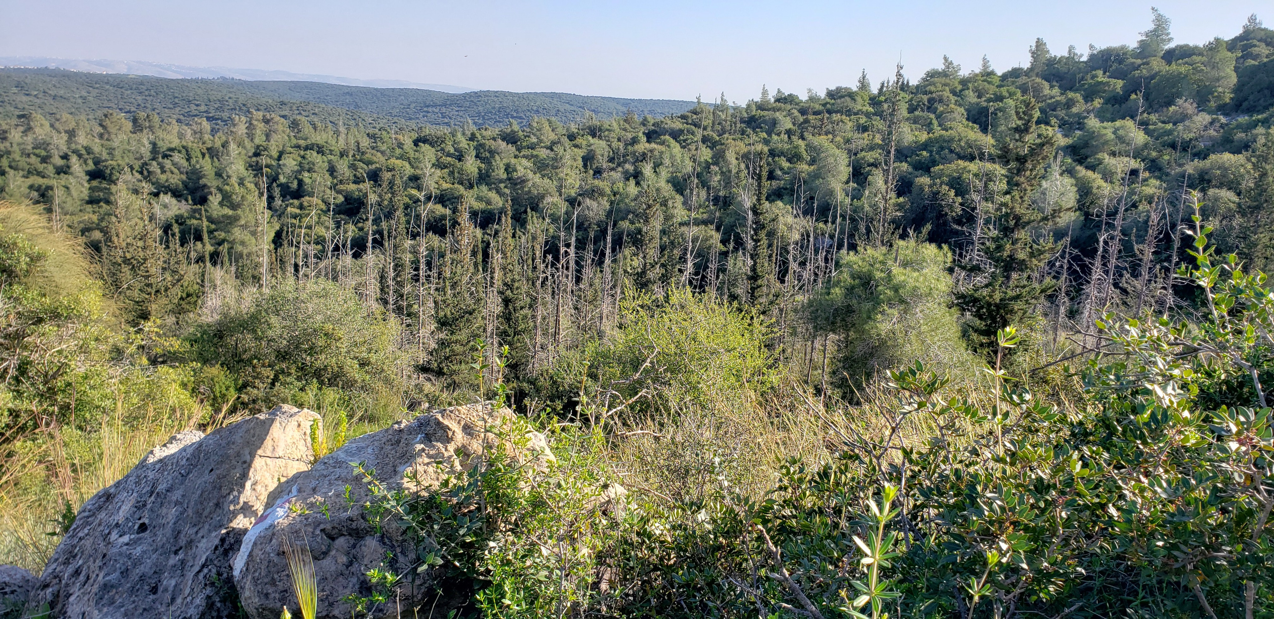 Реконстукционный поход Парк Британия. КРиС «Нортман»