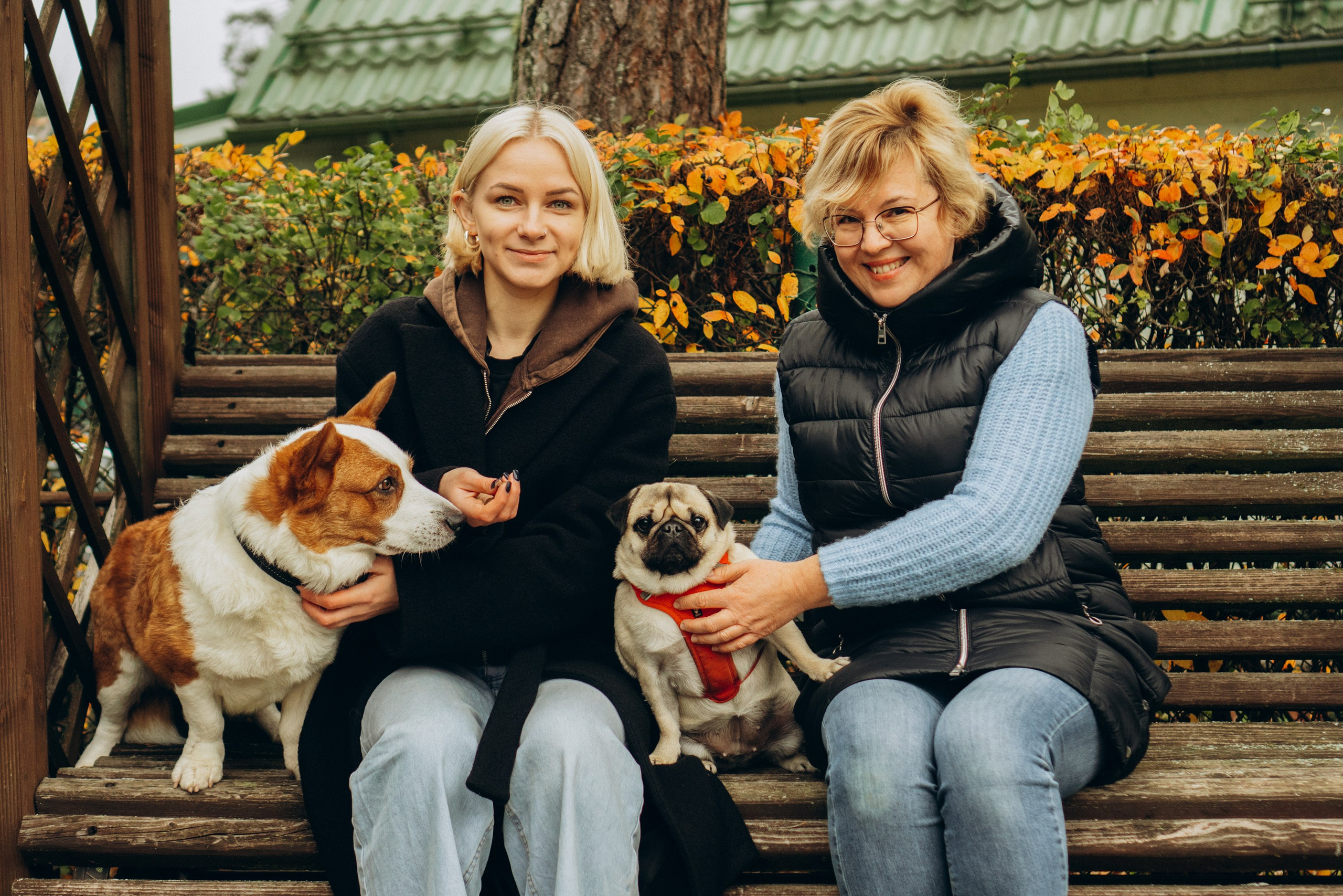 Jelena and her Sandy, Pug and Katja and her Safiir, Cardigan Welsh Corgi. Kat Laisaar — Pet photographer in Tallinn