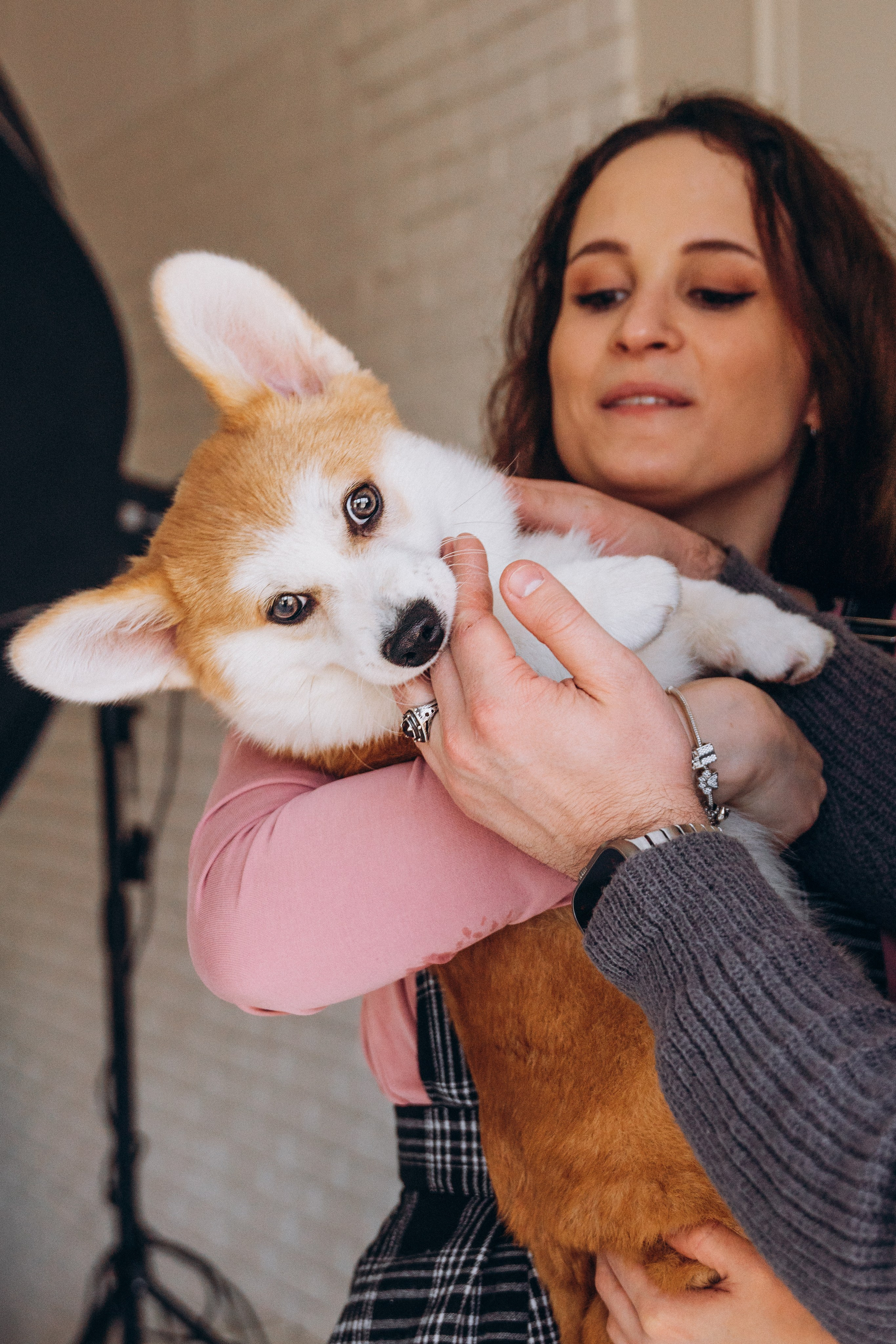 Mars & his Family. Kat Laisaar — Pet photographer in Tallinn