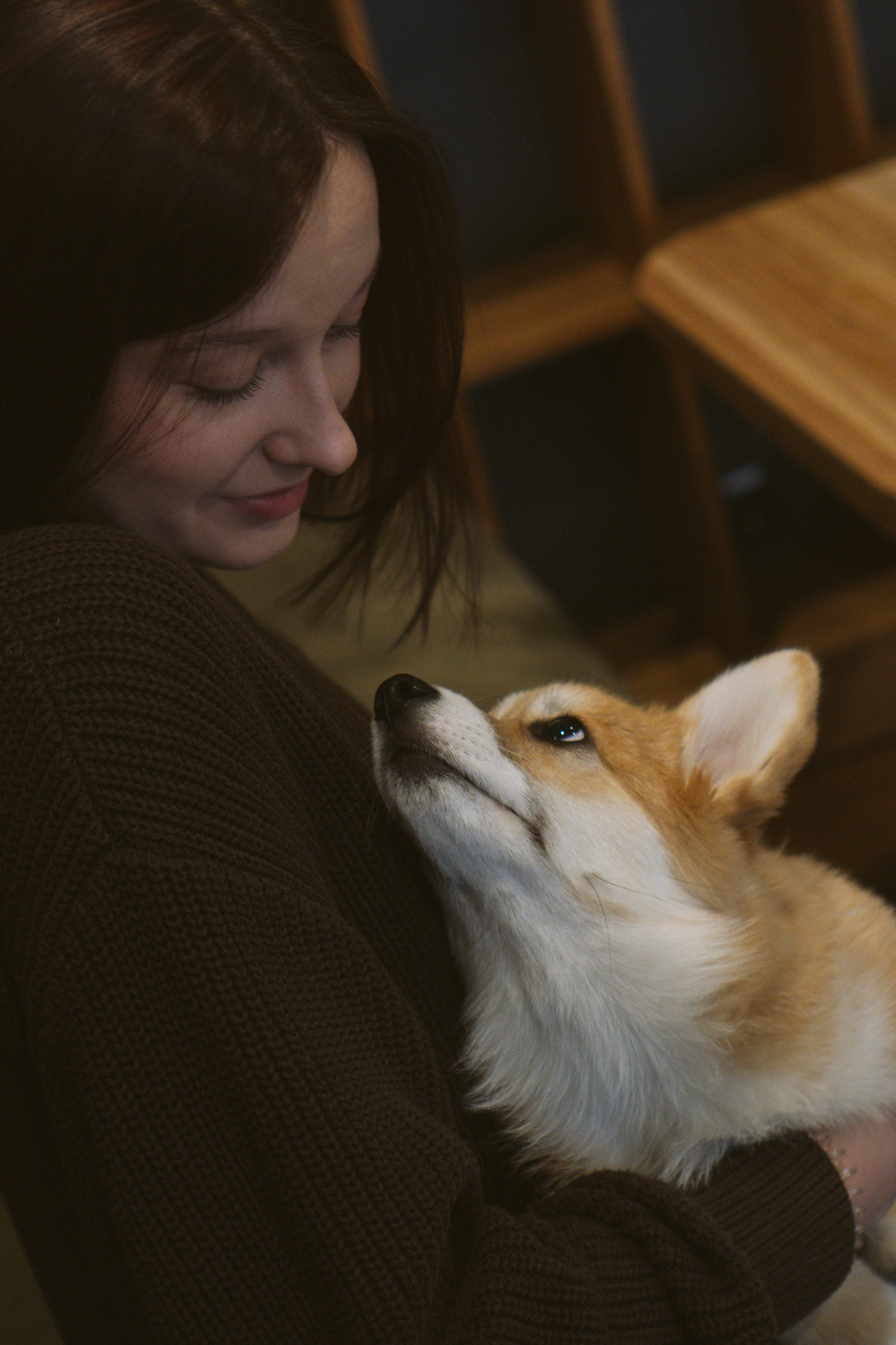 Anastasia and her Ada, Pembroke Welsh Corgi. Kat Laisaar — Pet photographer in Tallinn