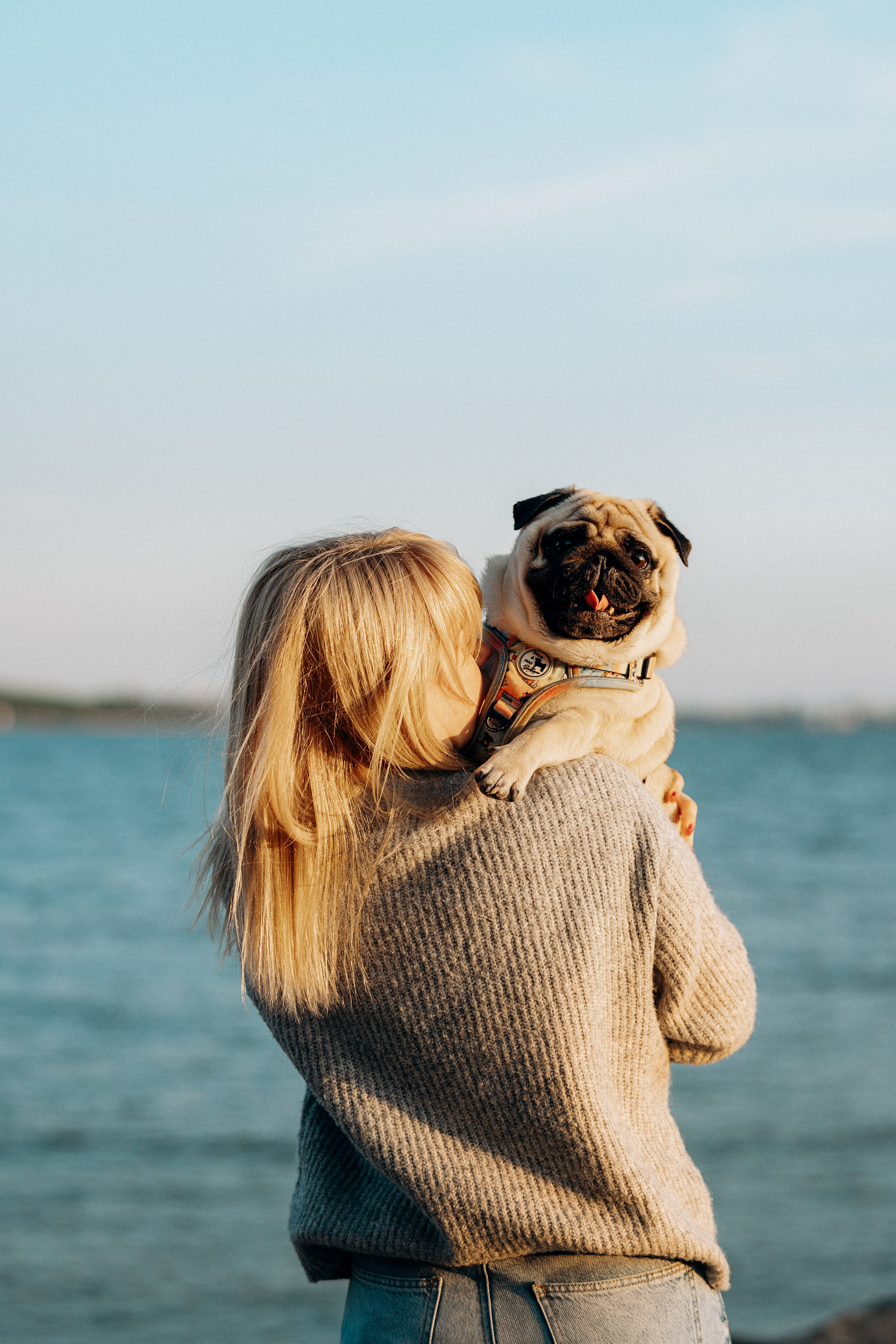 Frank, Tony, Katerina & Lev. Kat Laisaar — Pet photographer in Tallinn