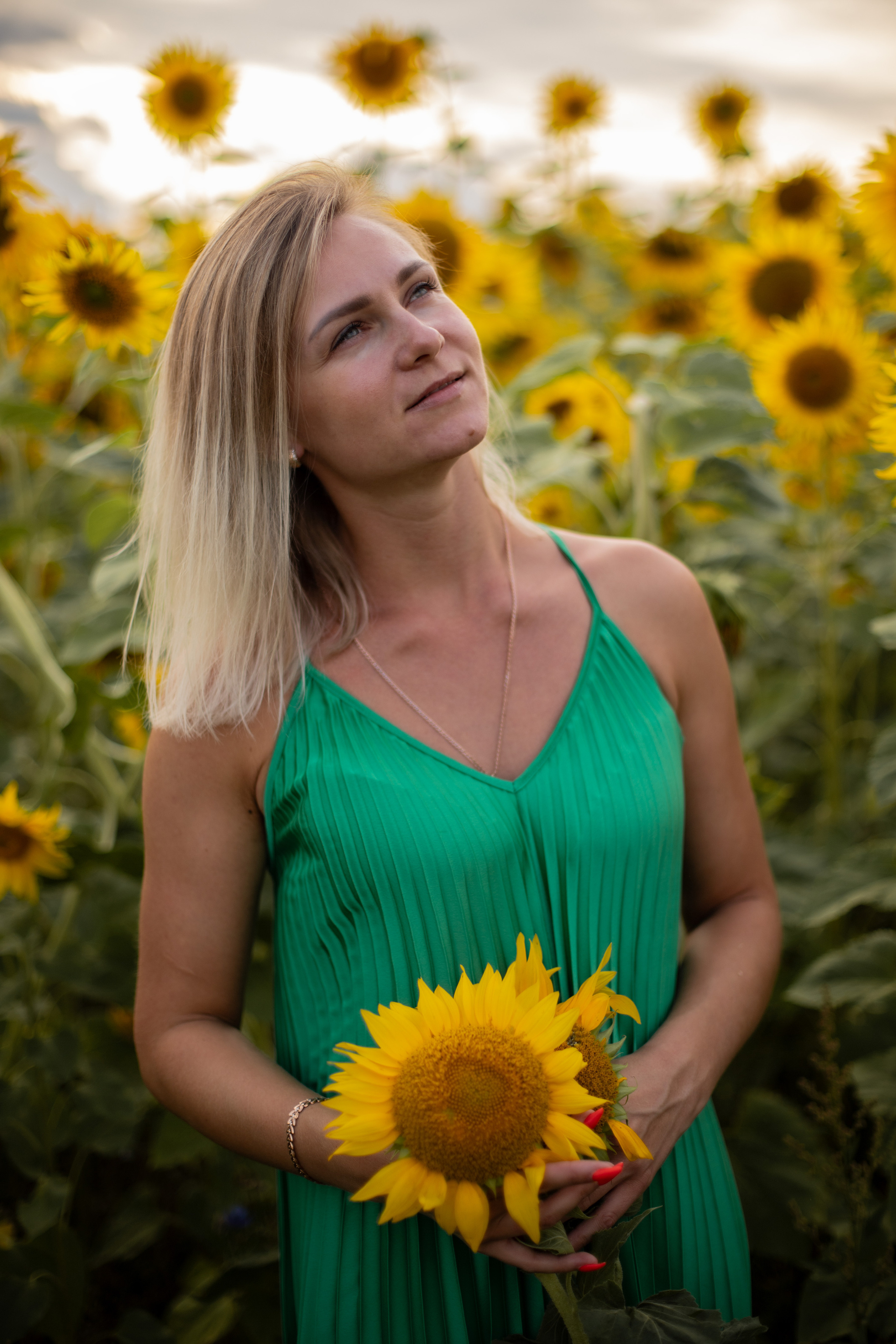 Подсолнухи. Ваш фотограф — Ивета Марченока