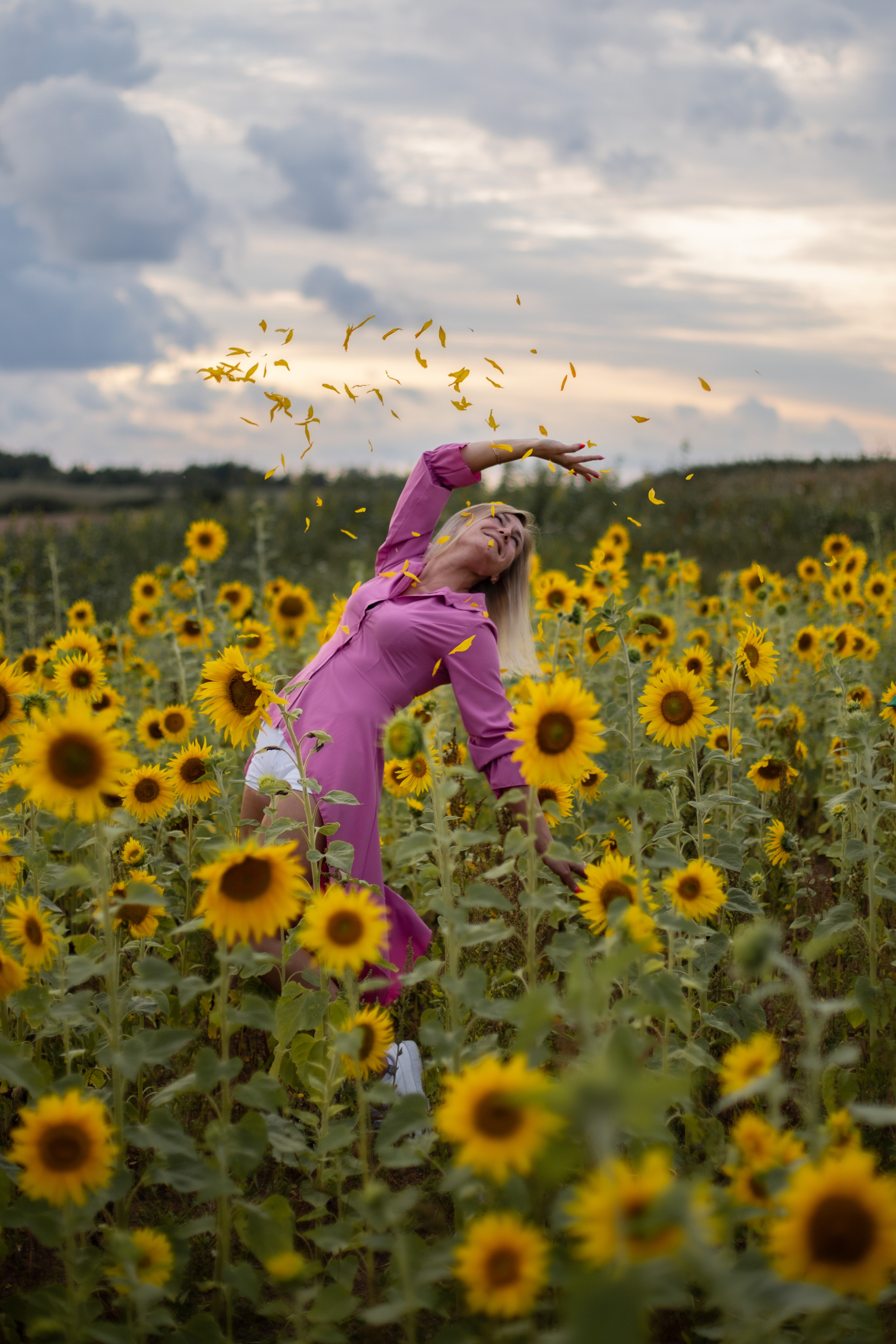 Подсолнухи. Ваш фотограф — Ивета Марченока