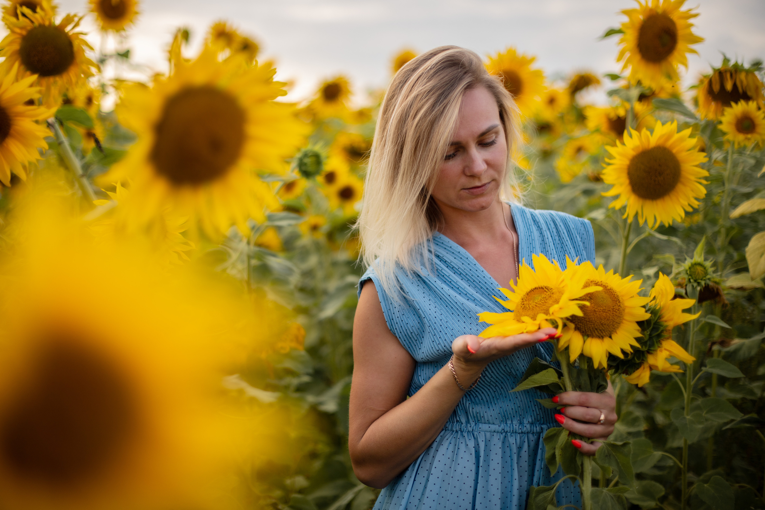 Подсолнухи. Ваш фотограф — Ивета Марченока