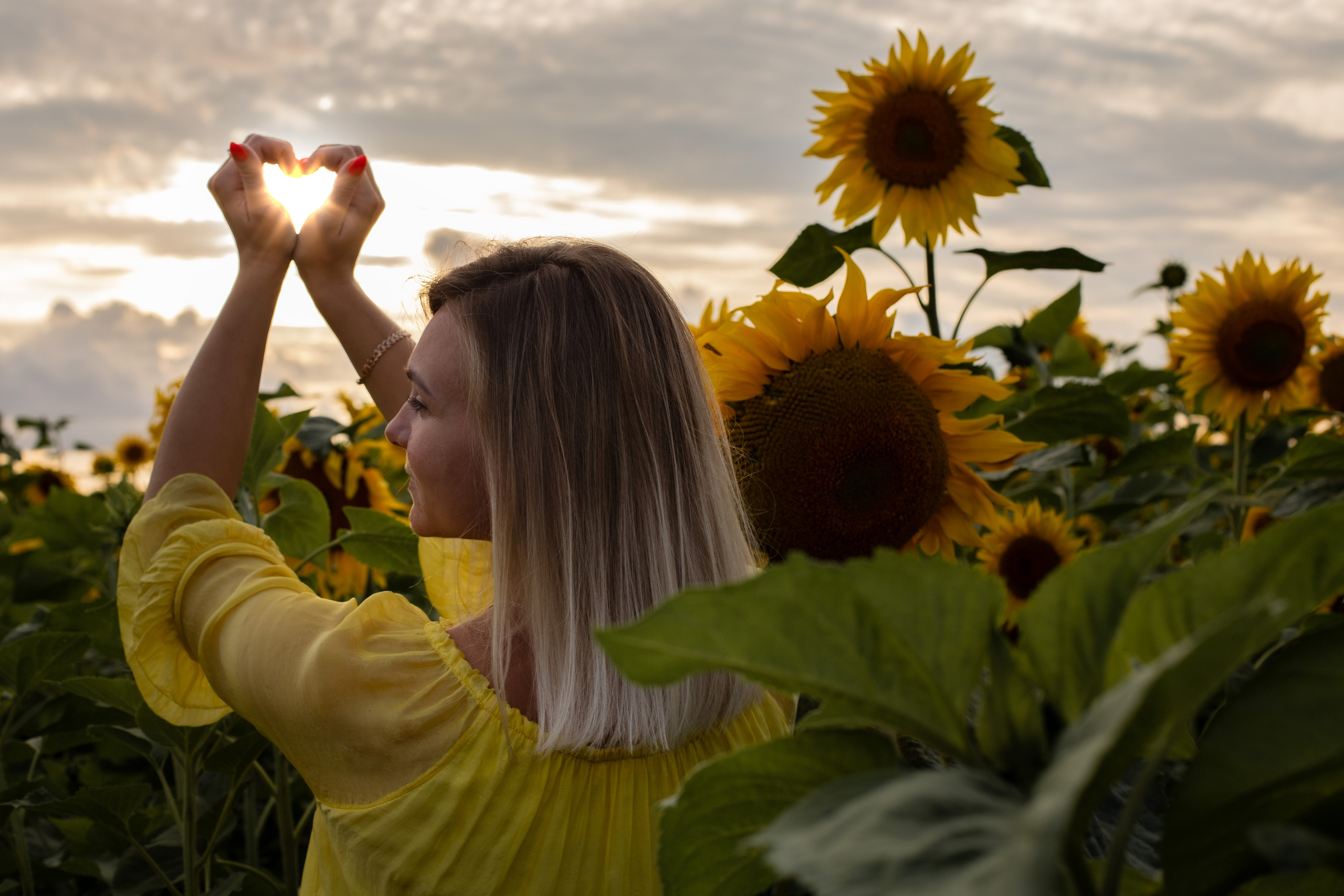 Подсолнухи. Ваш фотограф — Ивета Марченока