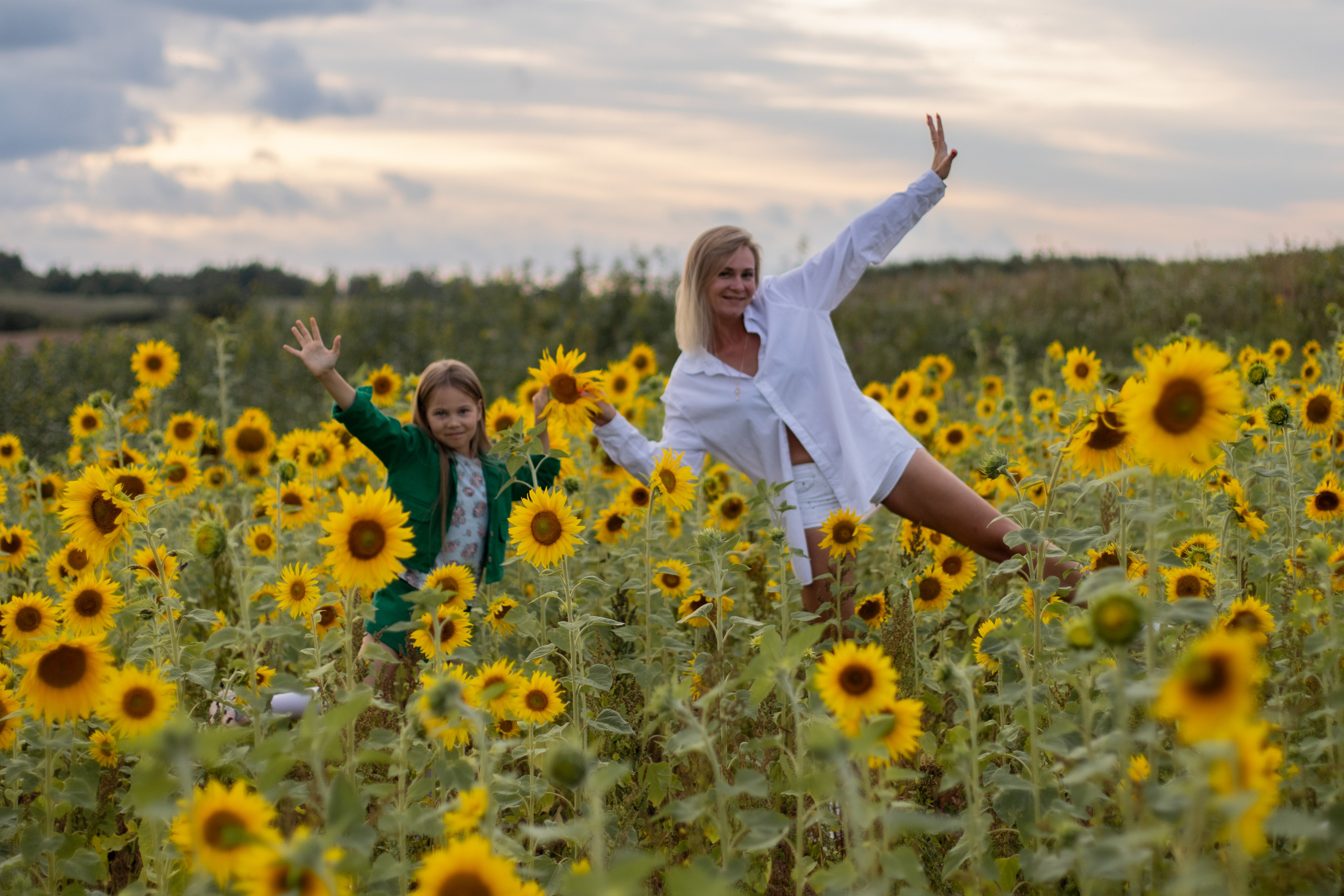 Подсолнухи. Ваш фотограф — Ивета Марченока