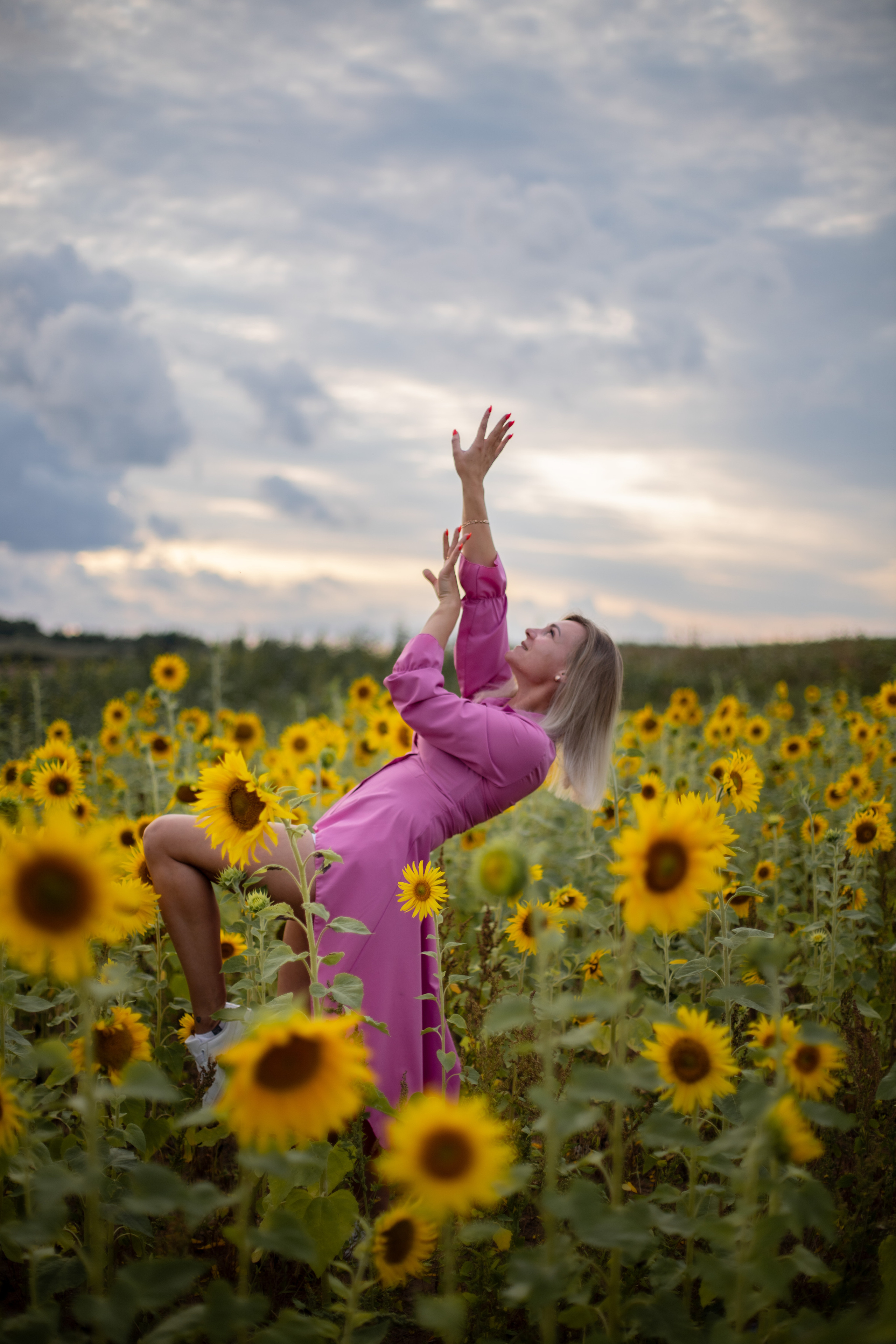 Подсолнухи. Ваш фотограф — Ивета Марченока