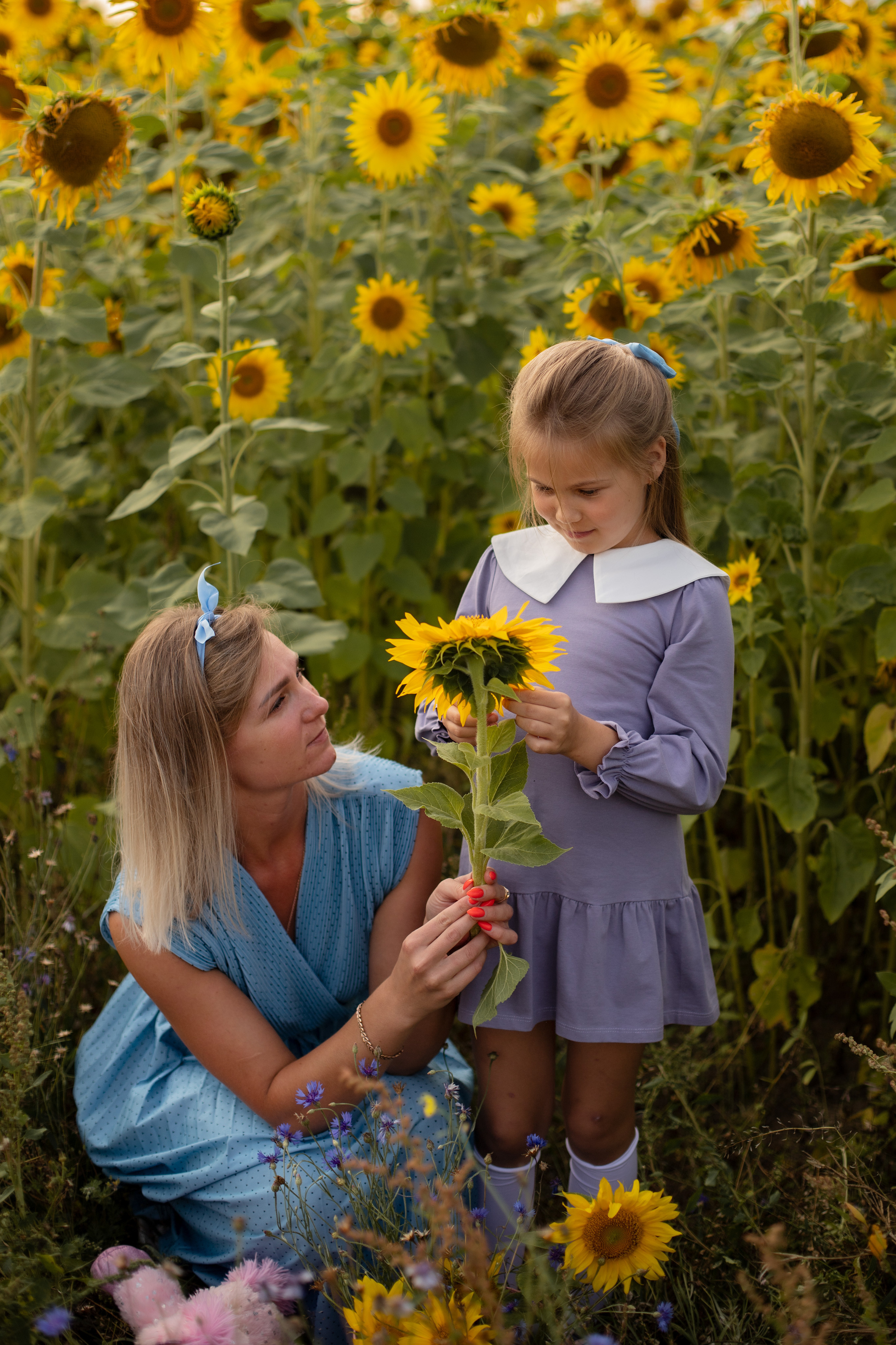 Подсолнухи. Ваш фотограф — Ивета Марченока