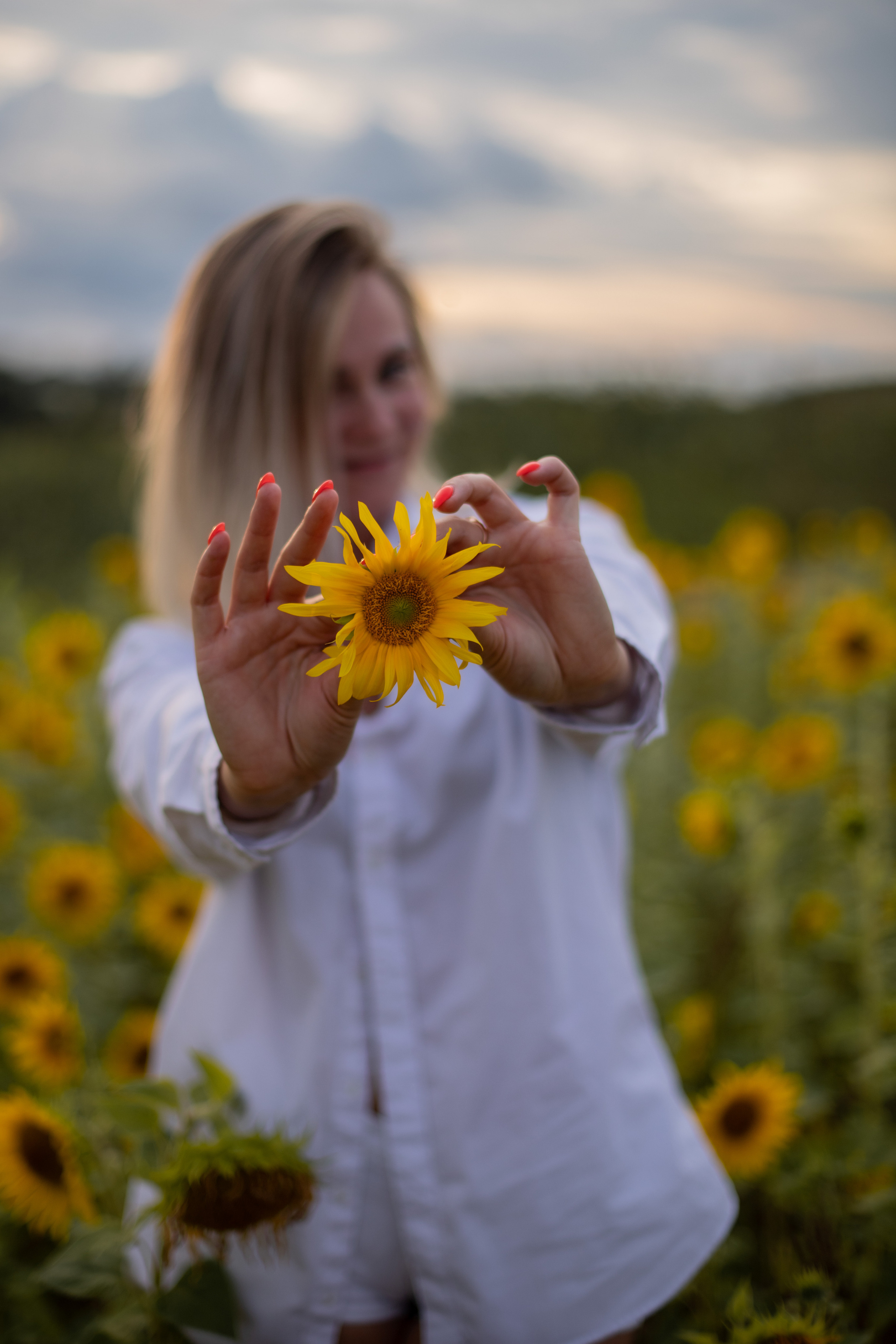 Подсолнухи. Ваш фотограф — Ивета Марченока