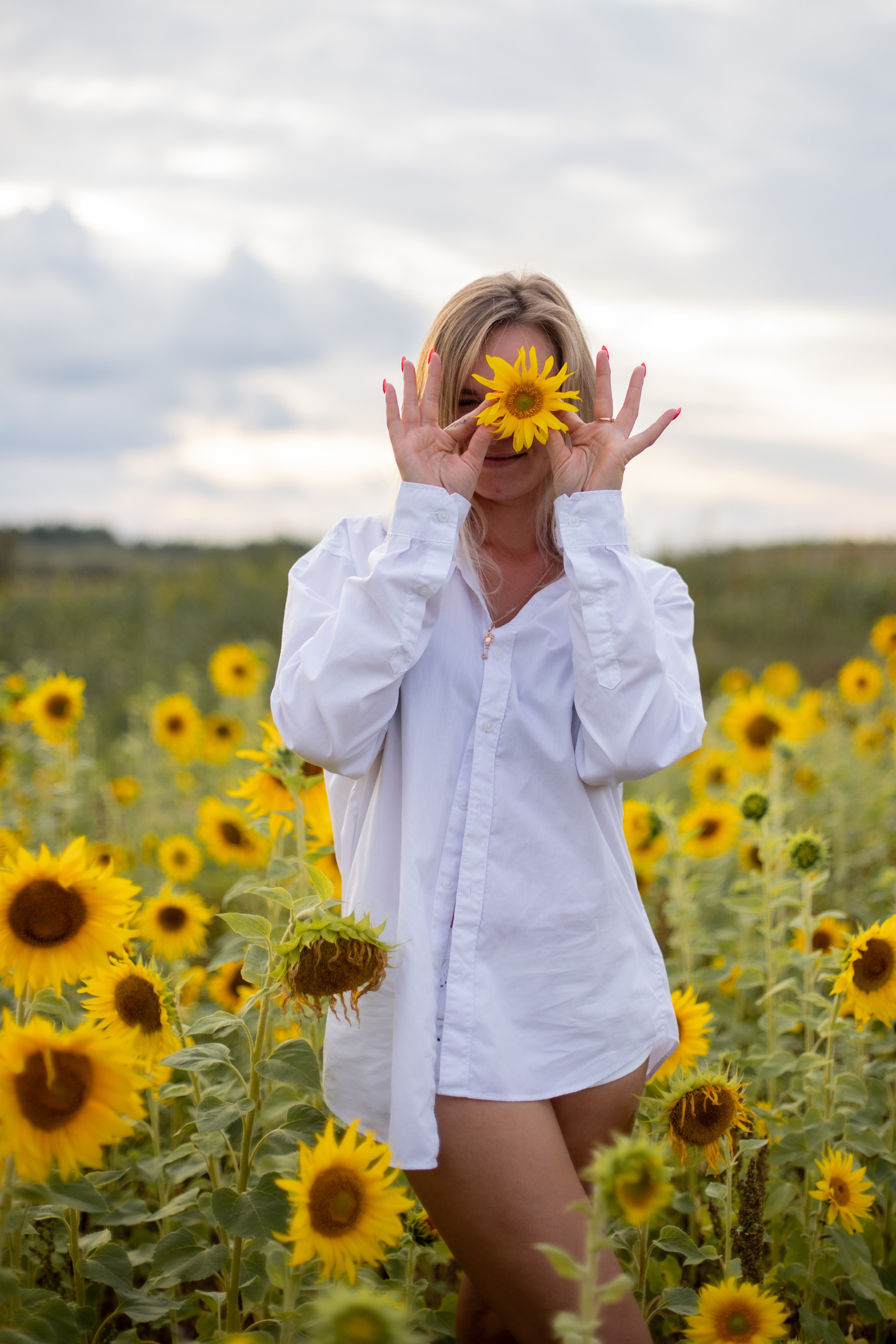 Подсолнухи. Ваш фотограф — Ивета Марченока