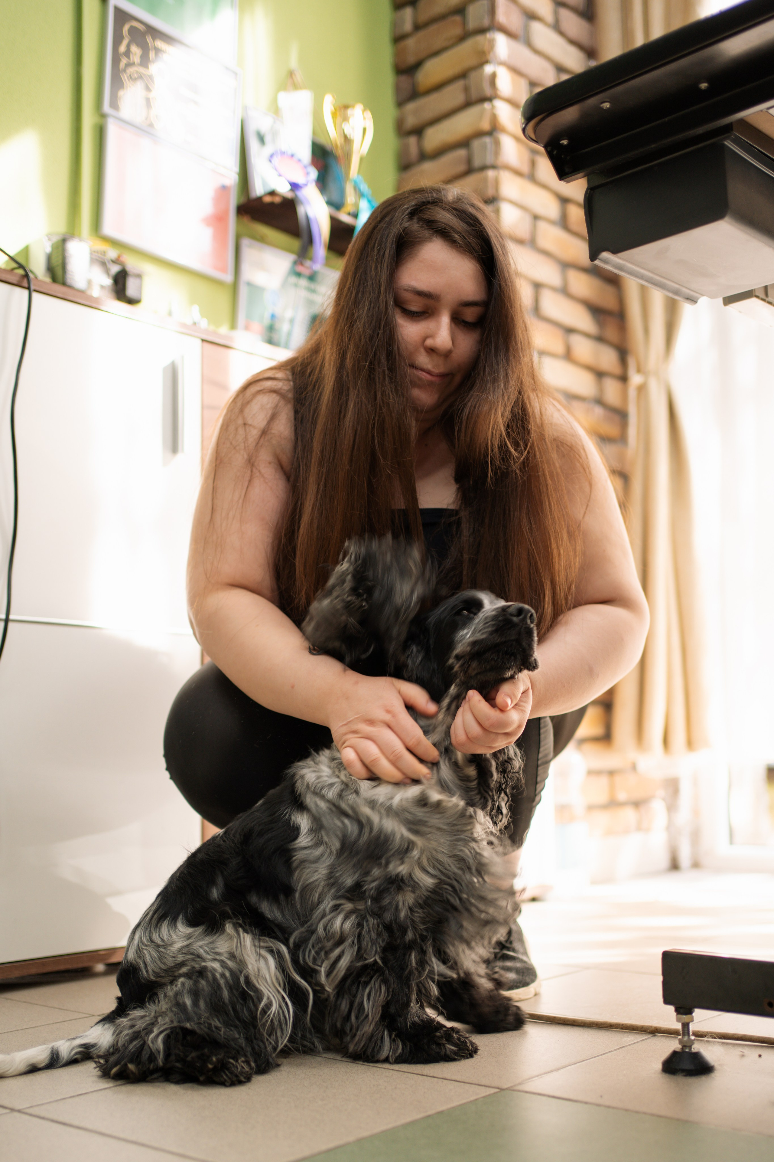 PetGroom Timisoara. Cozac Cristian Photographer
