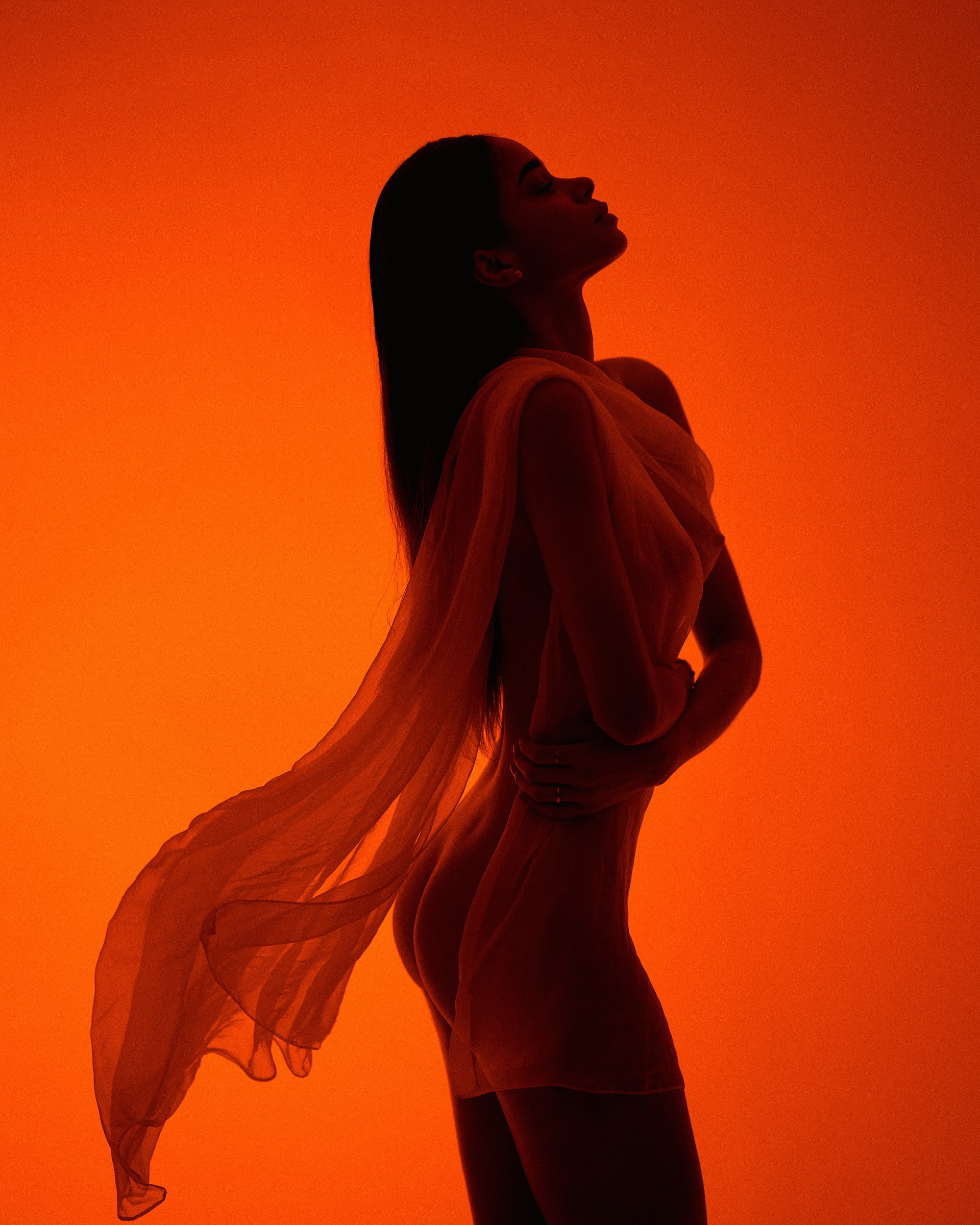 Portfolio 18+. Inicio