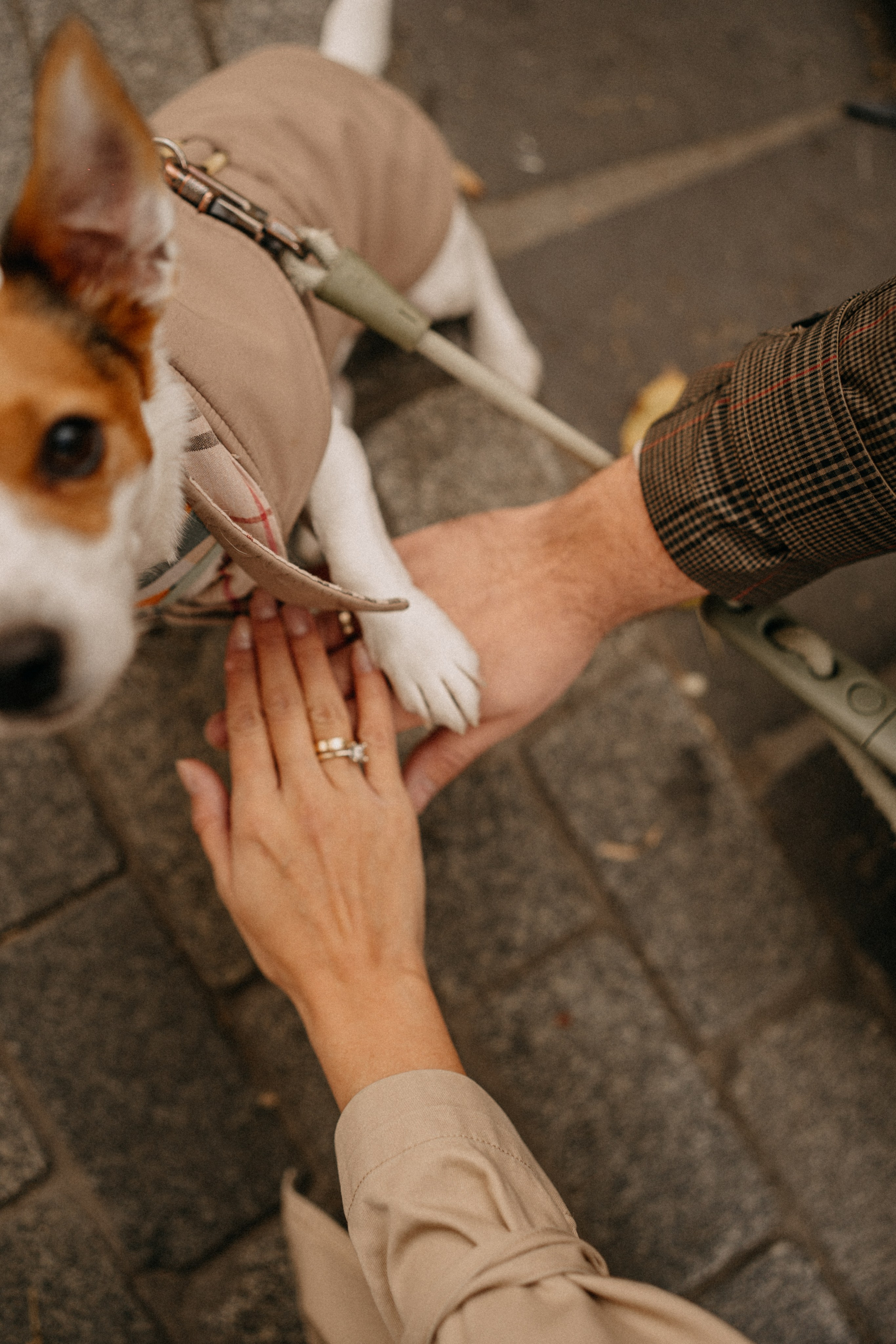 Зу & Саша. Фотограф Москва Ларина Юлия