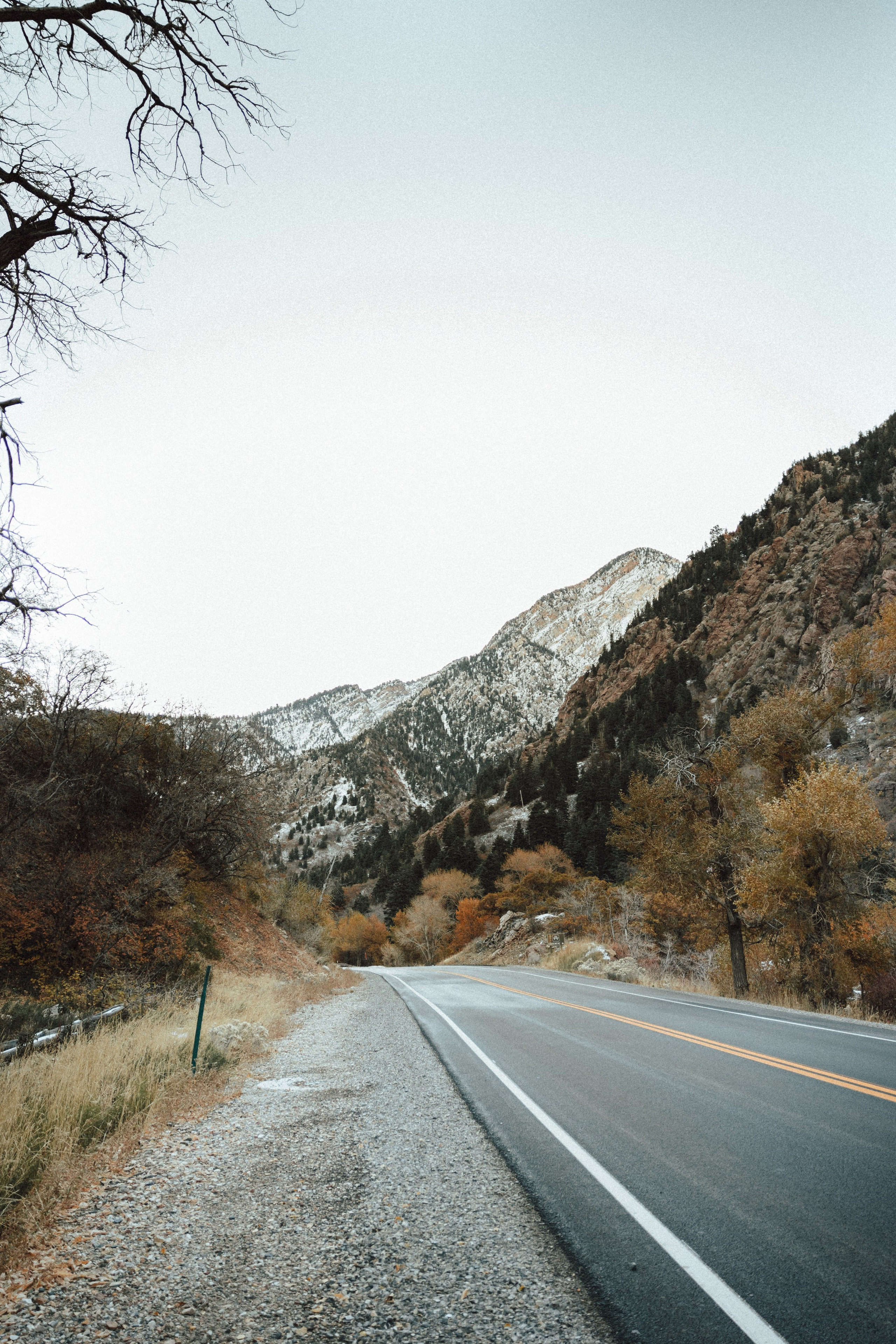 J&J. Sara Eulalia | Virginia Photographer