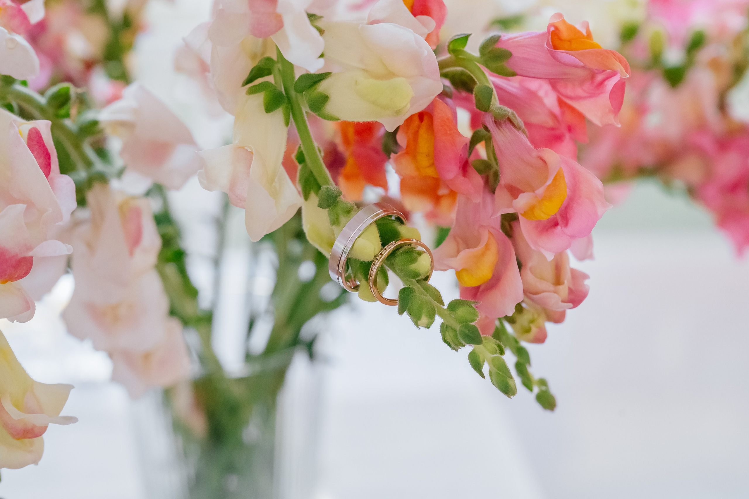 Agathe & Florian. Ekaterina Brevet - photographe de mariage
