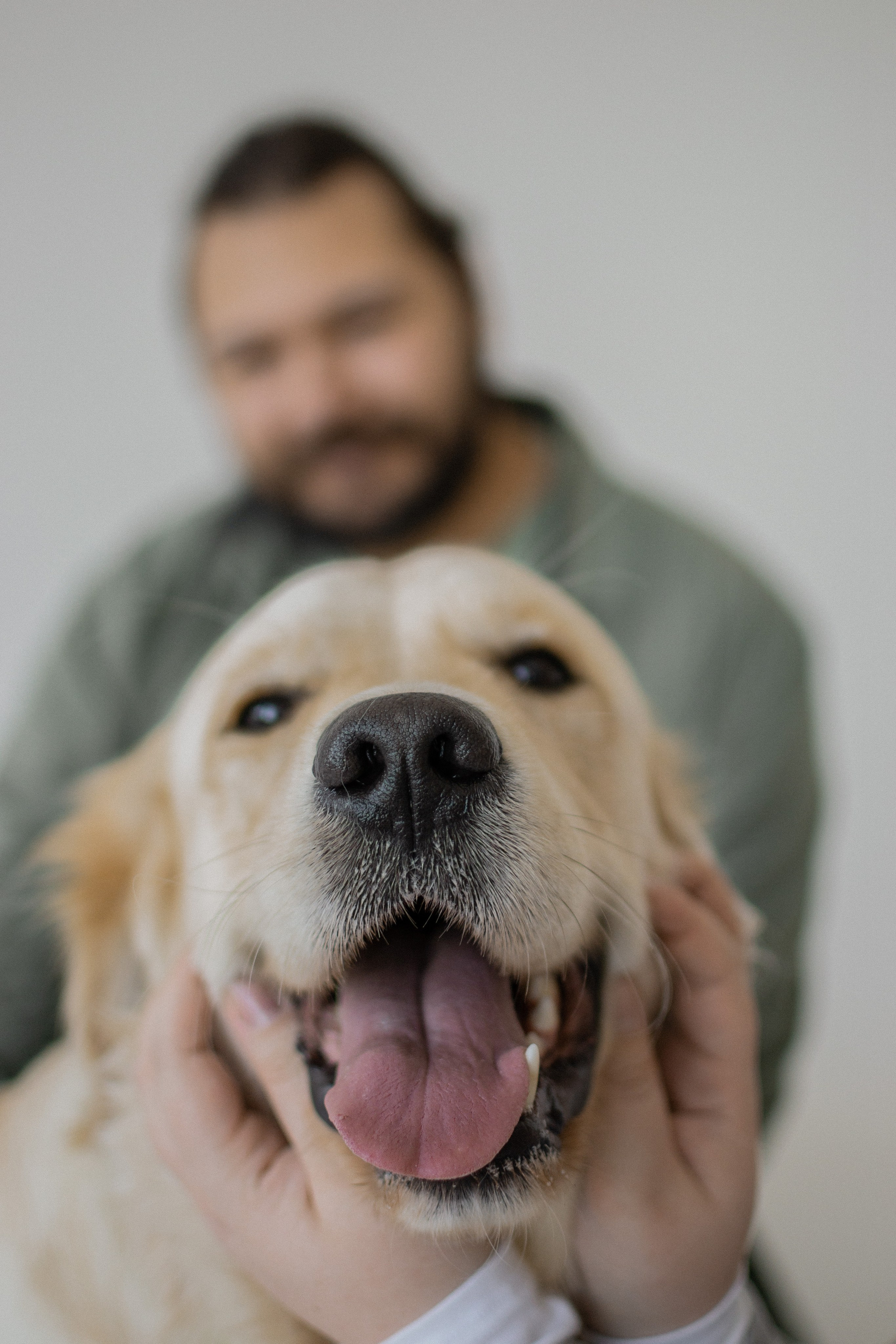 Tanya, Vlad et Kotik. Photographe animalier à Paris Anna Pereira