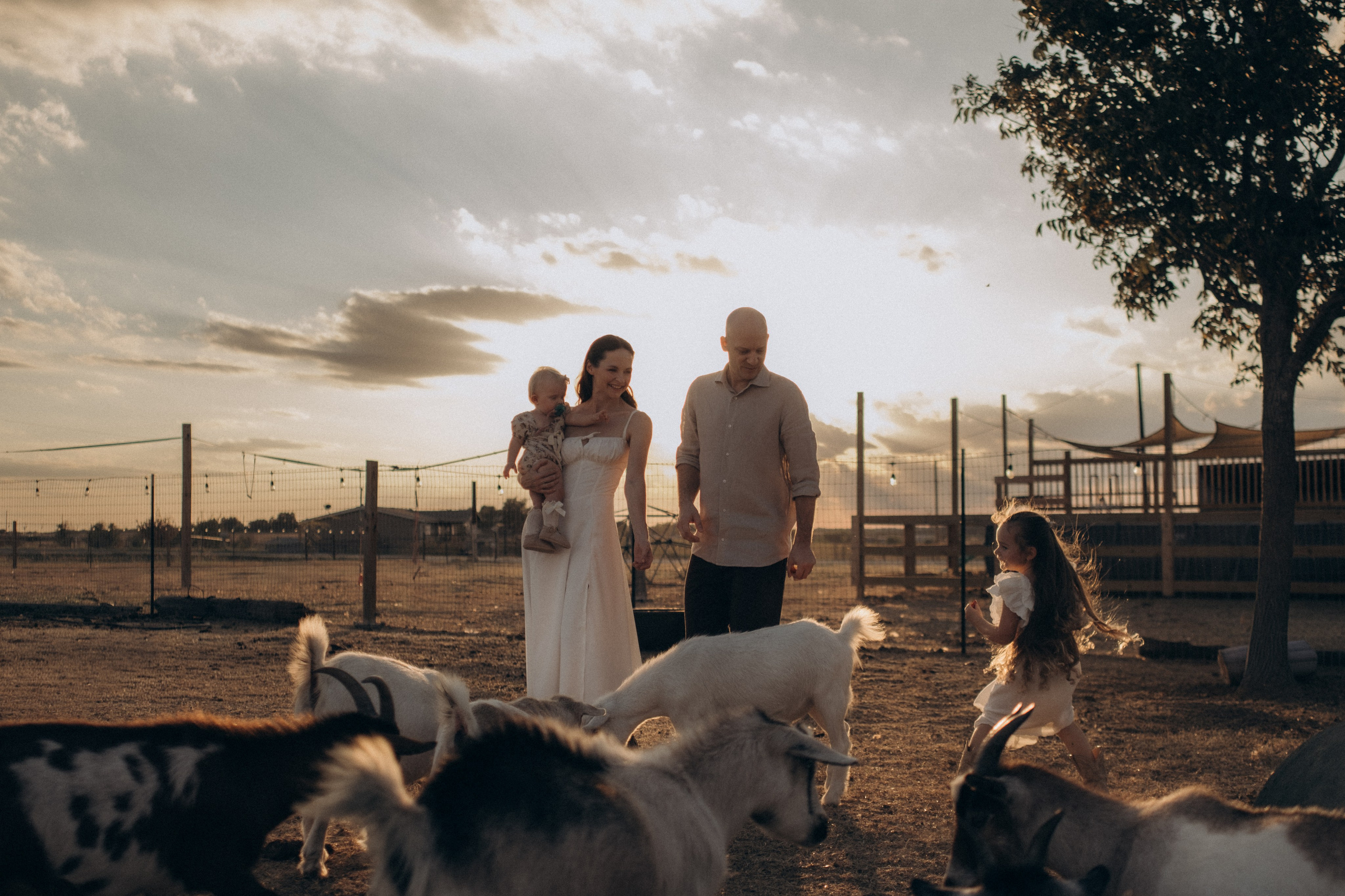 Farm Story. Lens Captures Life