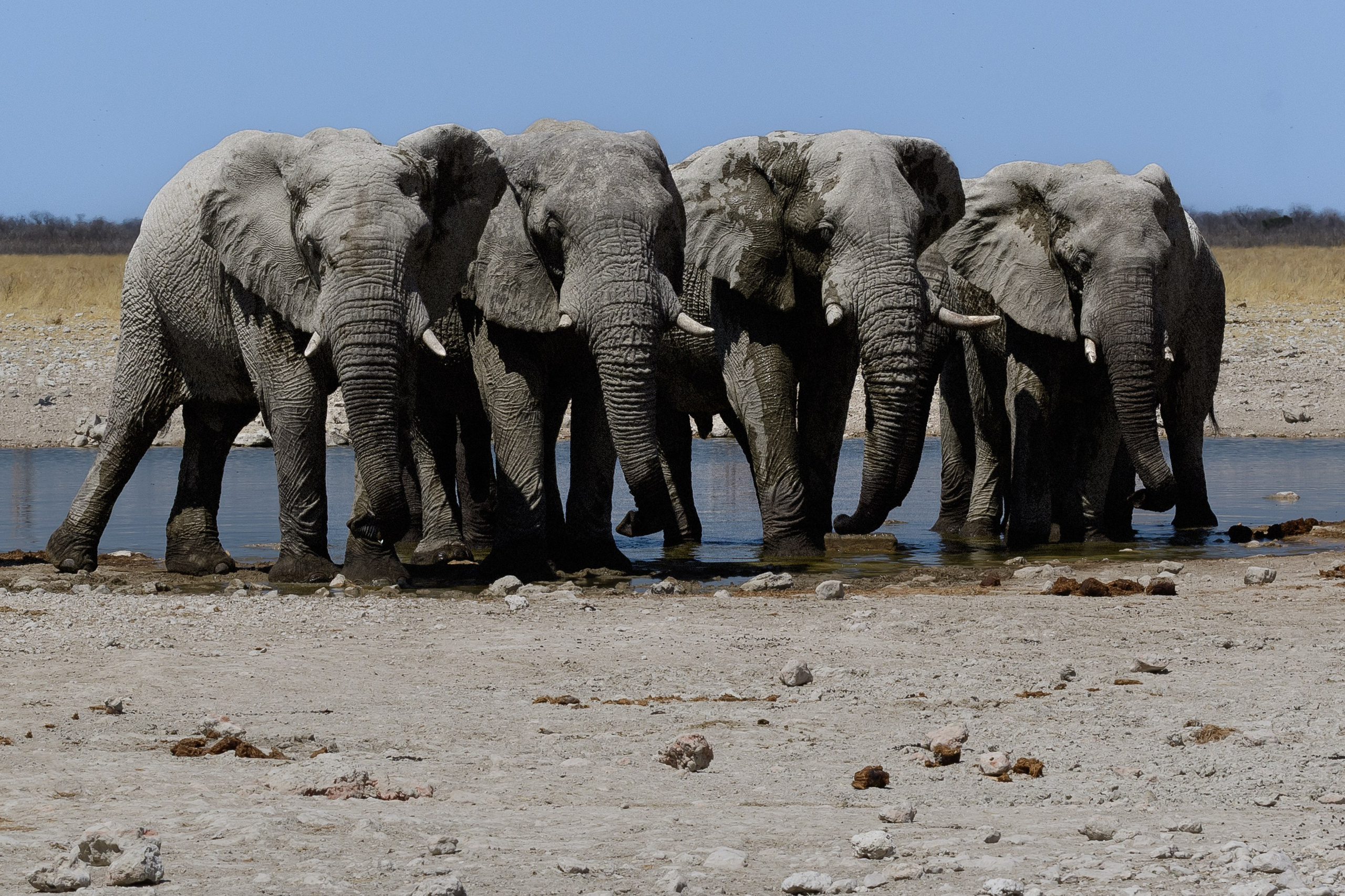 Travel. Klausenburg Photography