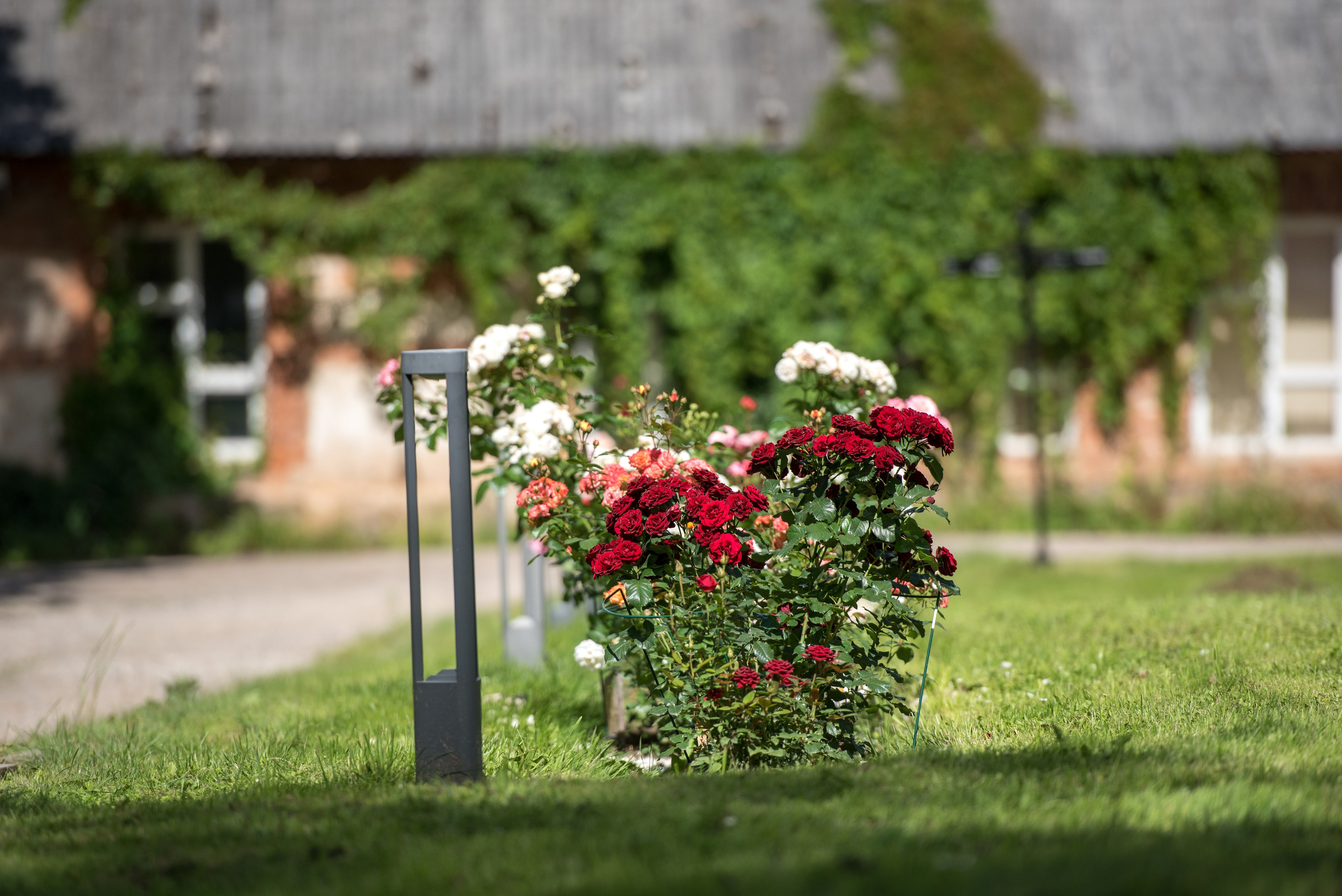 Konstantin & Vlada. Ritvars Pujats Emotion Photographer