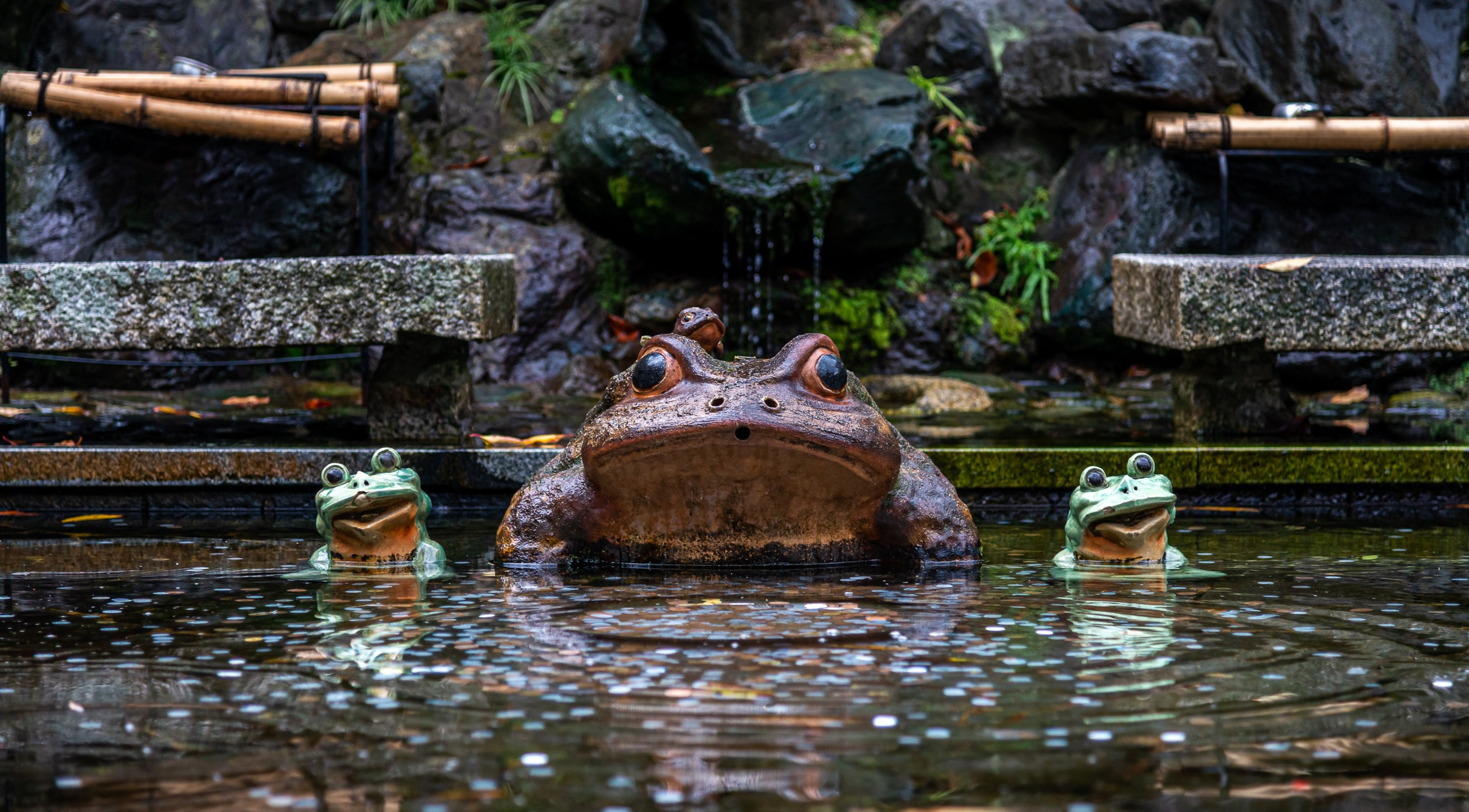 Japan. Marius Ciocan