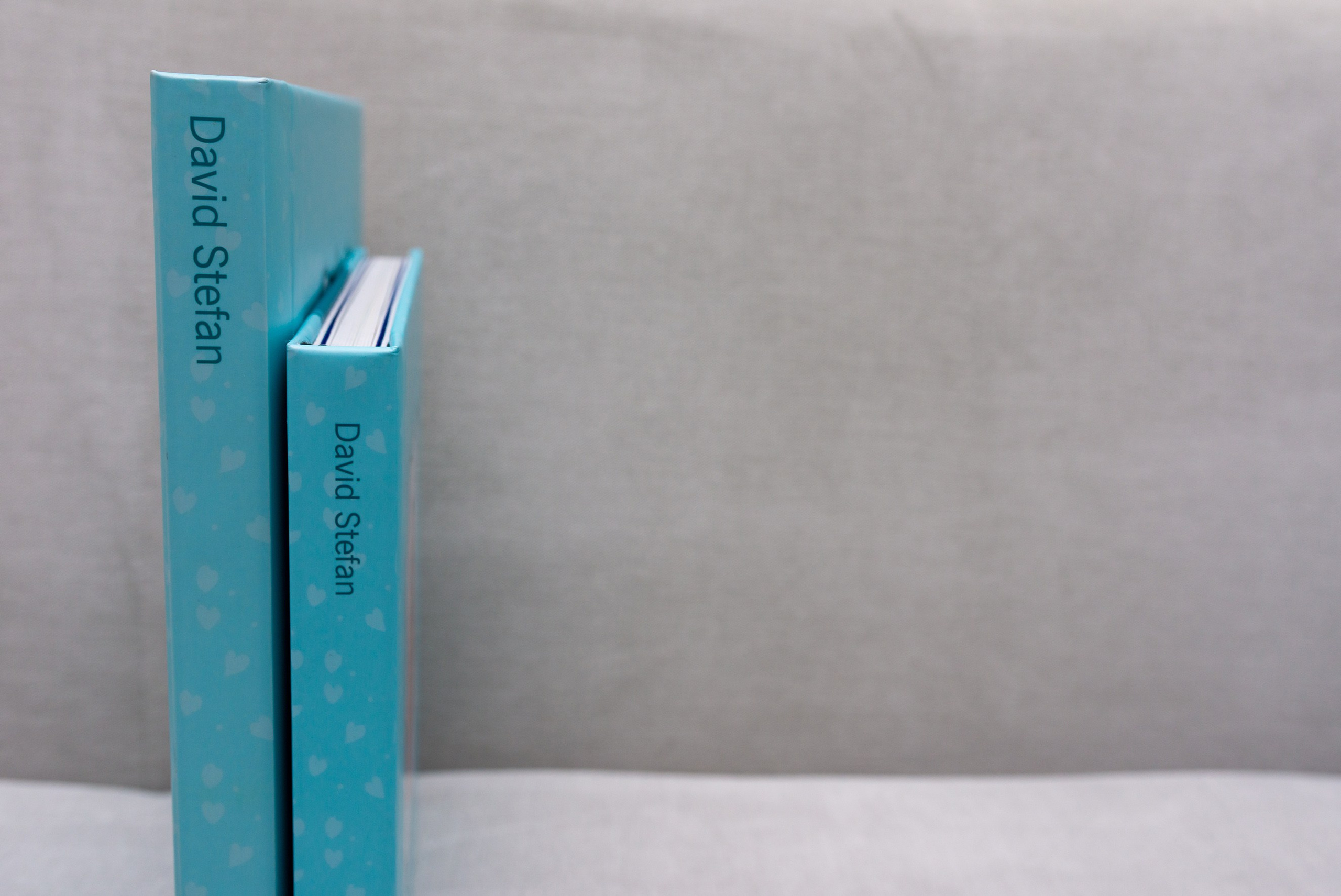 Albume Bogdan Palenciuc