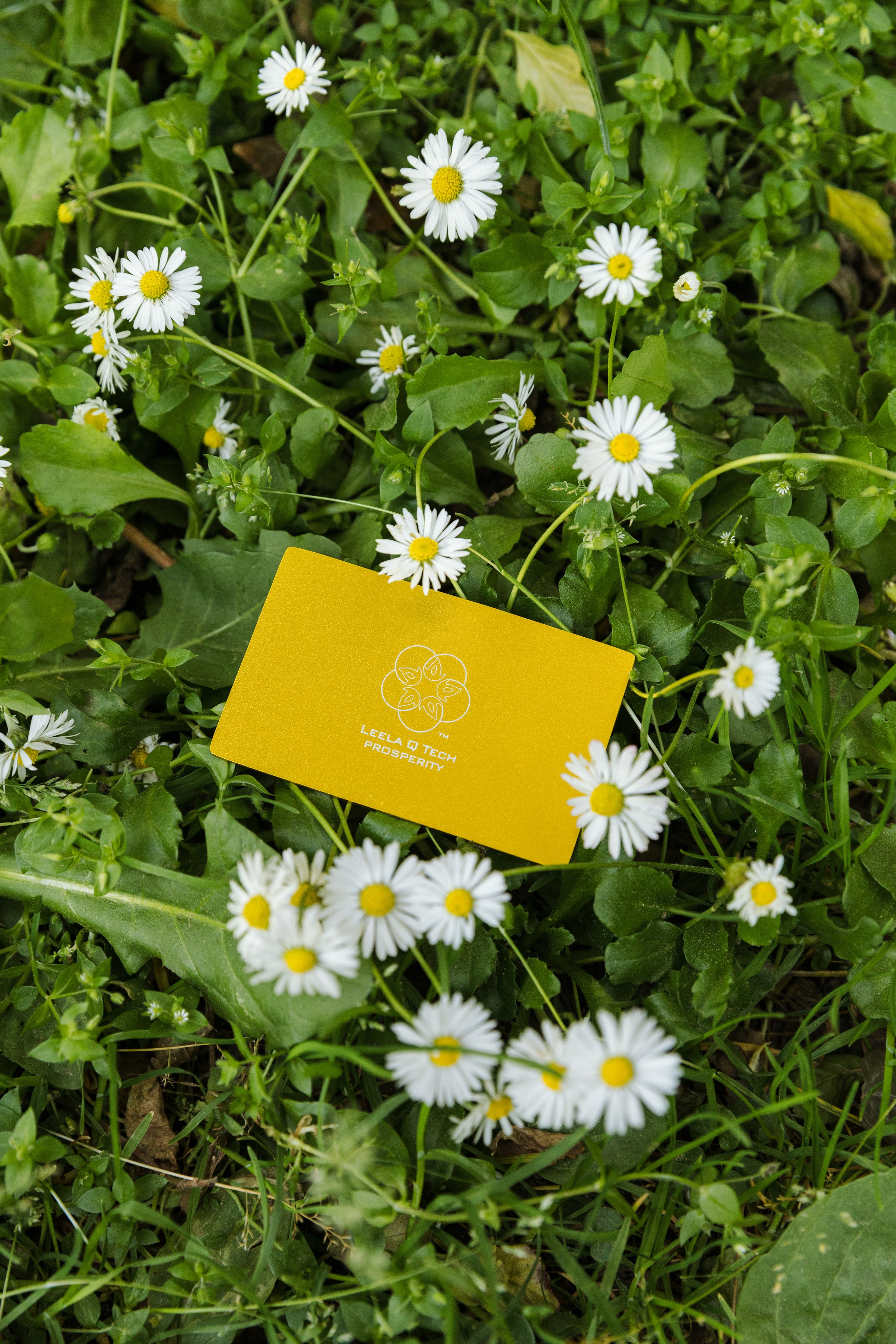 Предметная съемка. Fotógrafa en Barcelona Sitges Kateryna Shelkovnikova