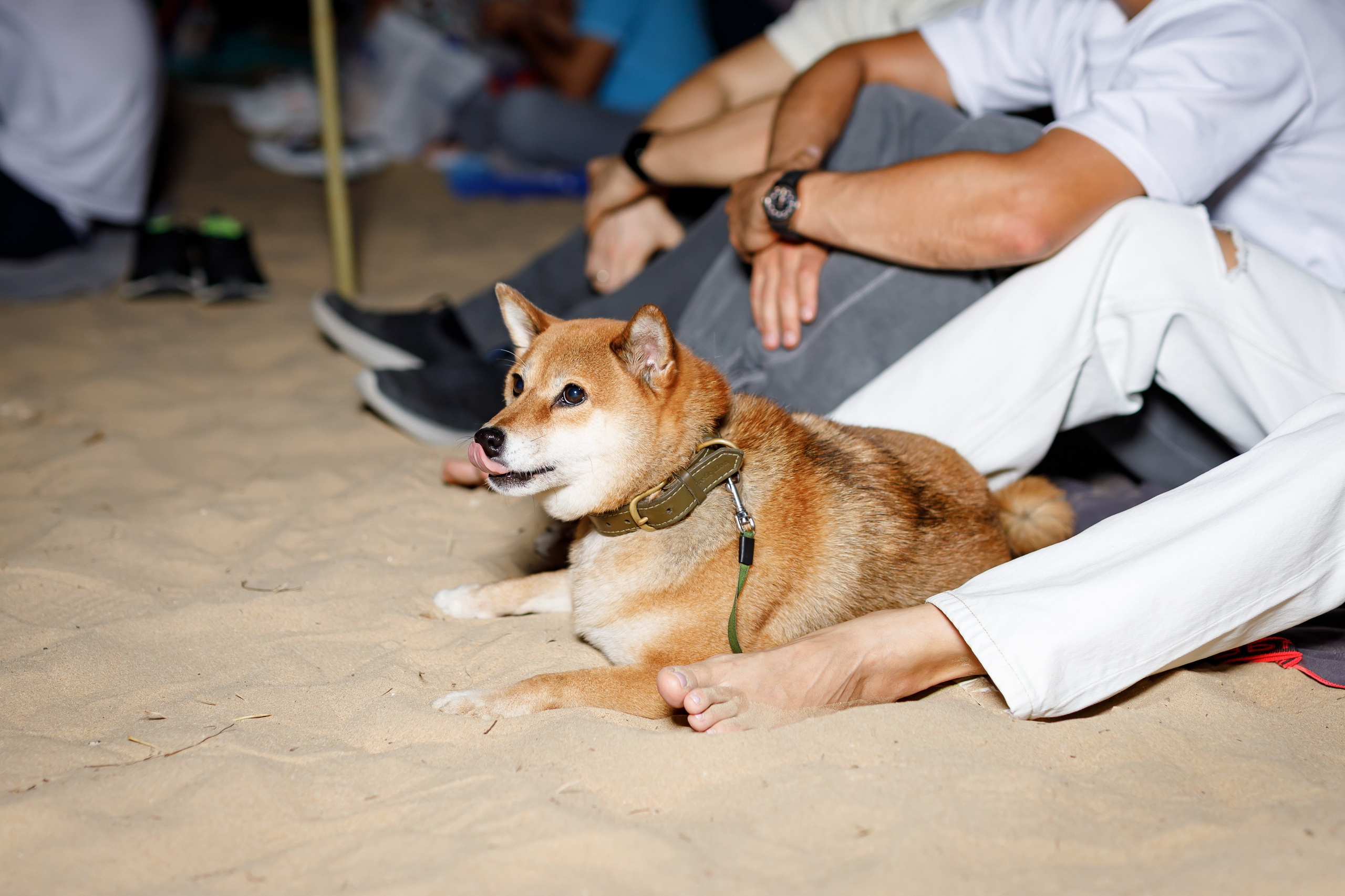Oleg Torbosov — Meeting with subscribers in the desert. Photographer Anna Curly | Weddings and Events in Dubai