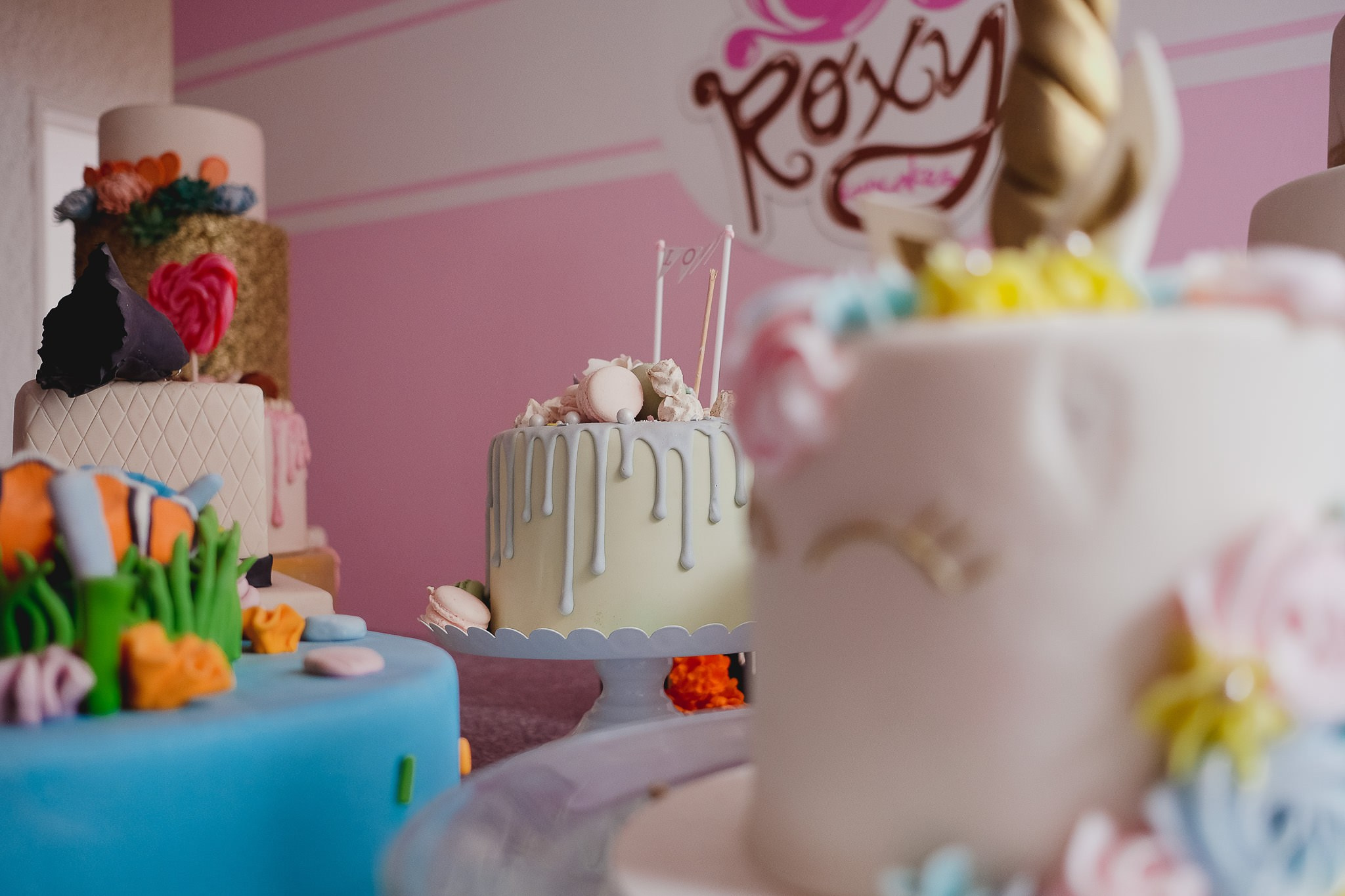 Rox. Wedding and family photographer in Mexico City