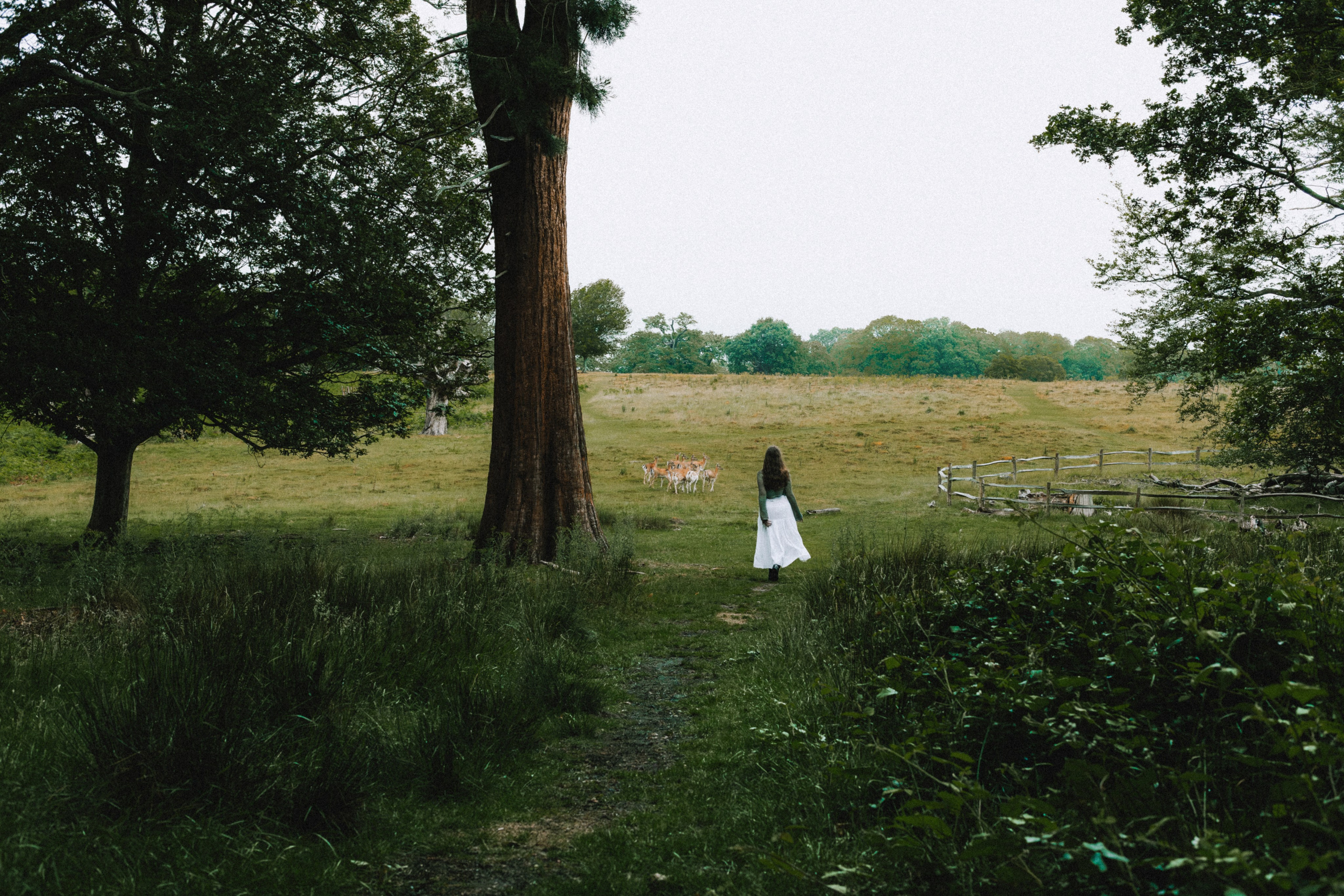 Moody Forest Princess Warrior Photoshoot. Moth & Moss Photography