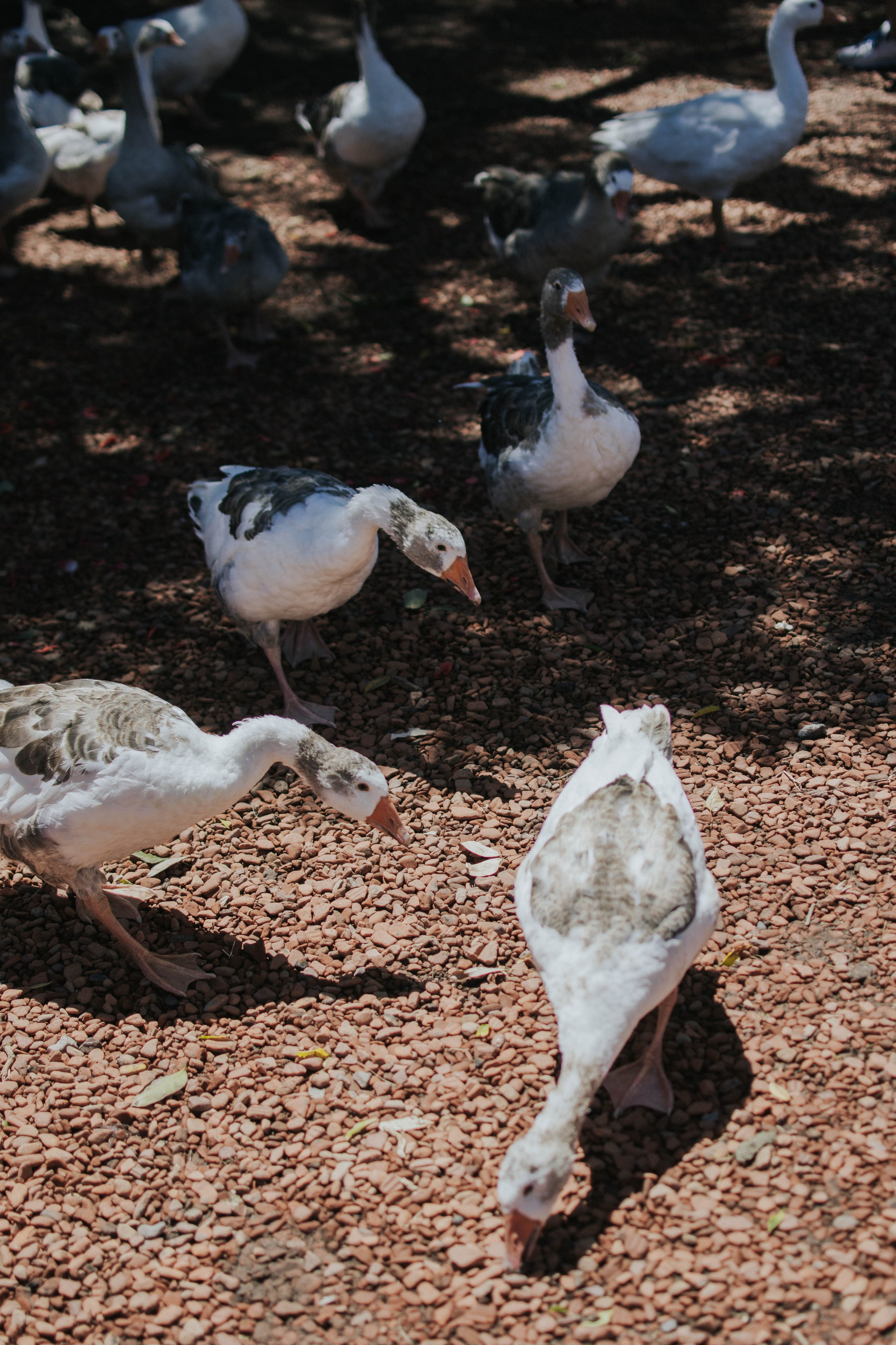 Wedding. Reportage shoots in Buenos Aires. Photographer @elmirkami in the city of Buenos Aires