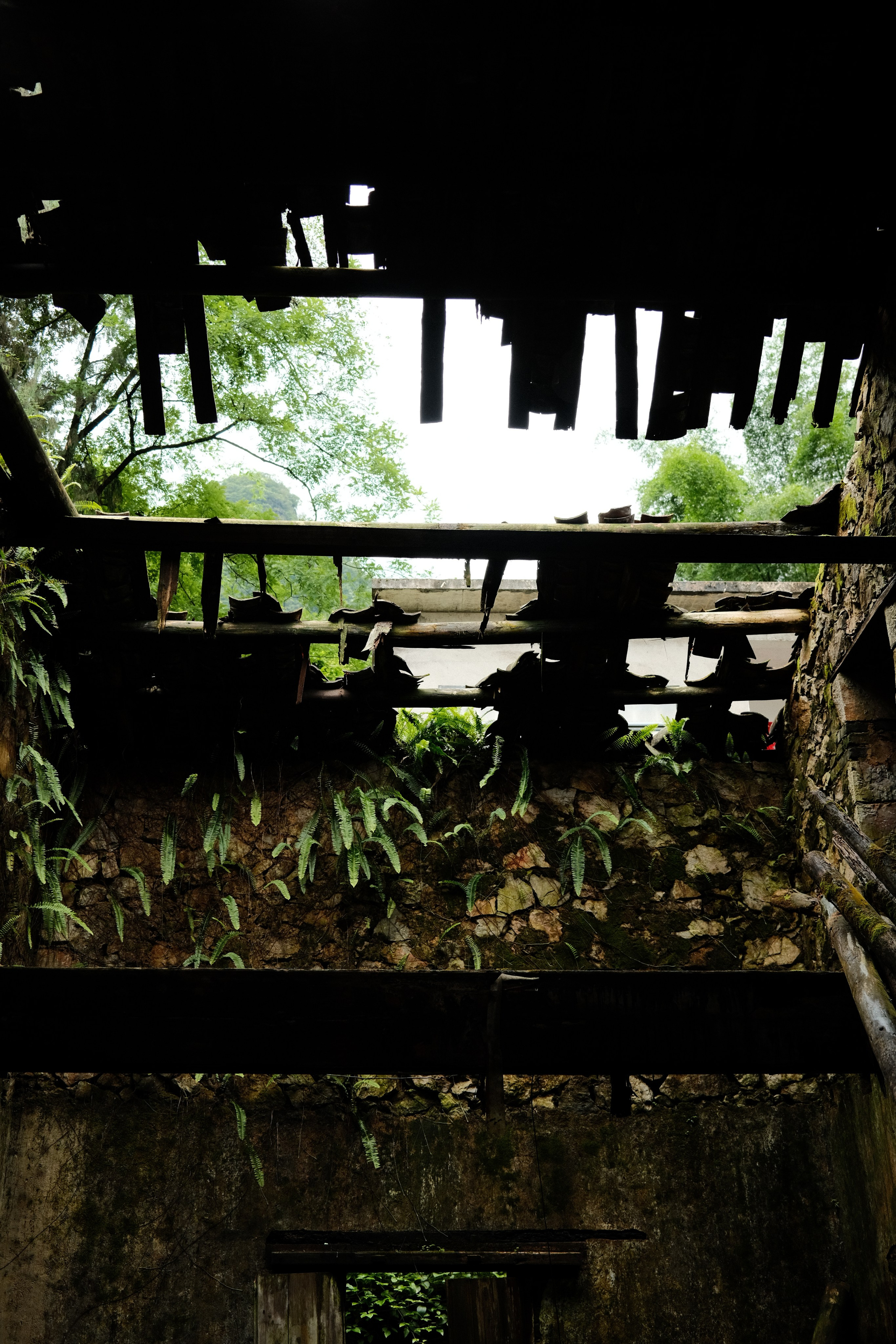 Yangshuo China Guiling. Фотограф В Гуанчжоу и Шэньчжэнь Андрей Лопатин