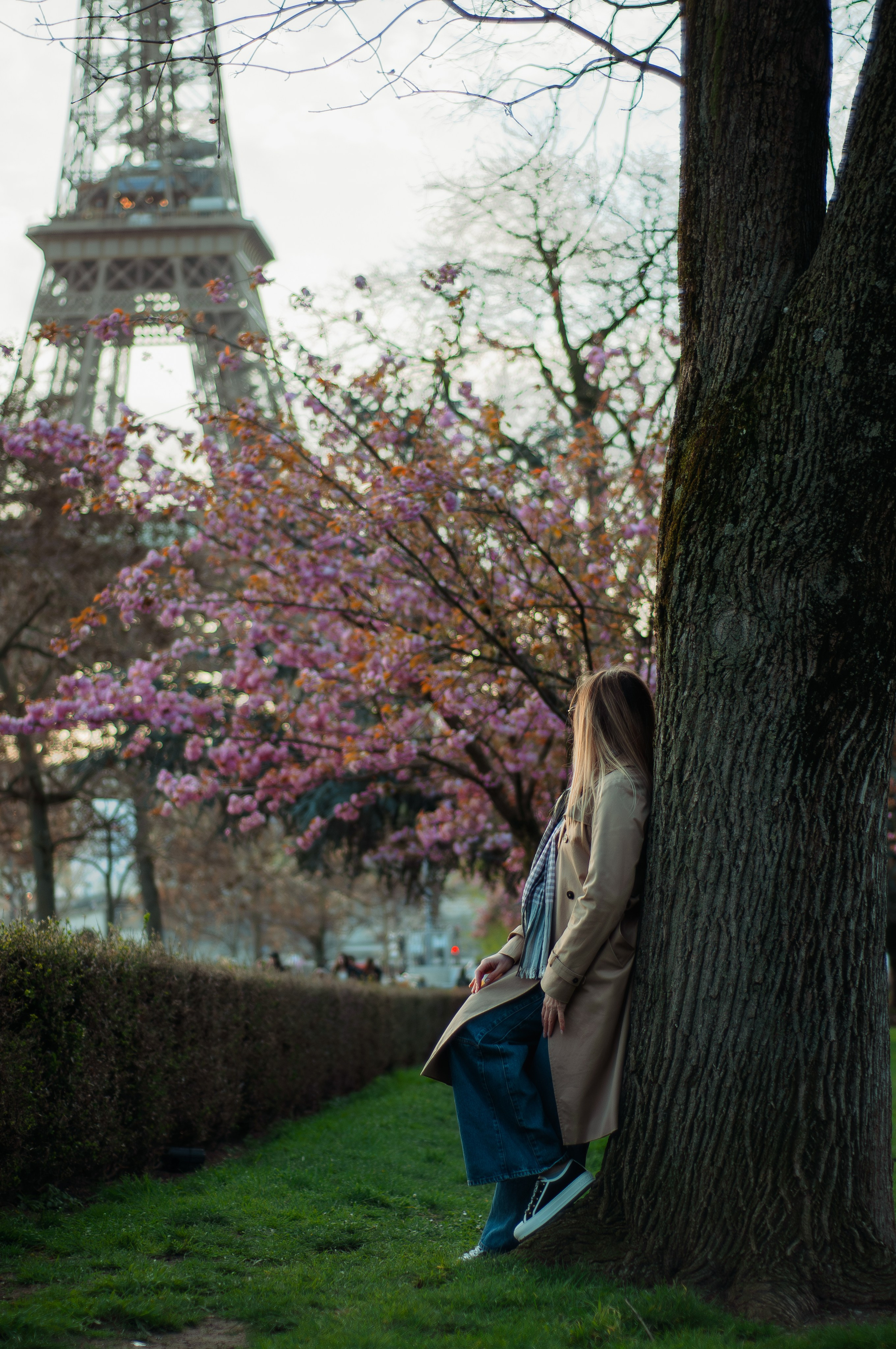 Цветущие сады Эйфелевой башни. Фотограф в Париже Полина Осипова