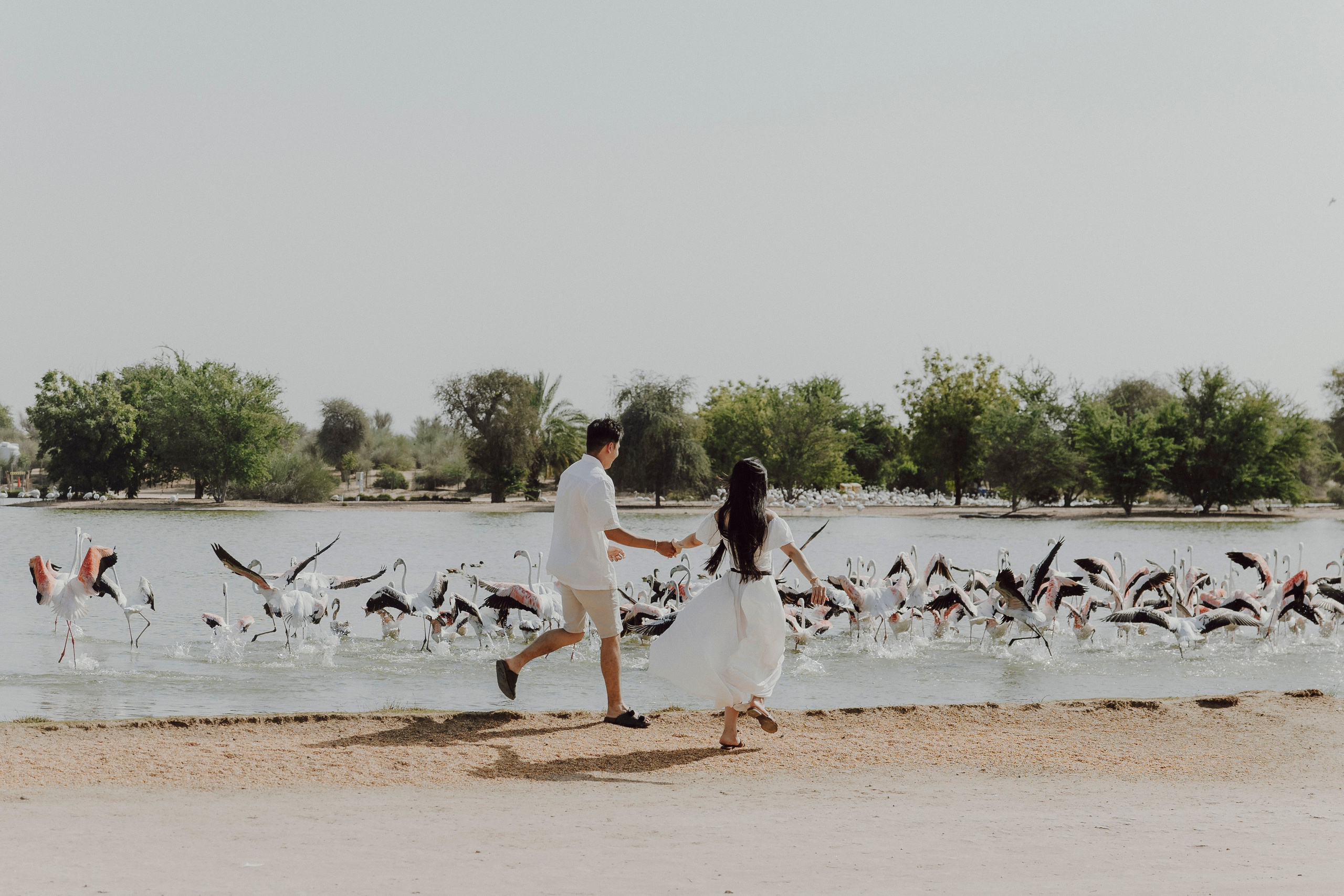 Allen & Kitty PreWedding