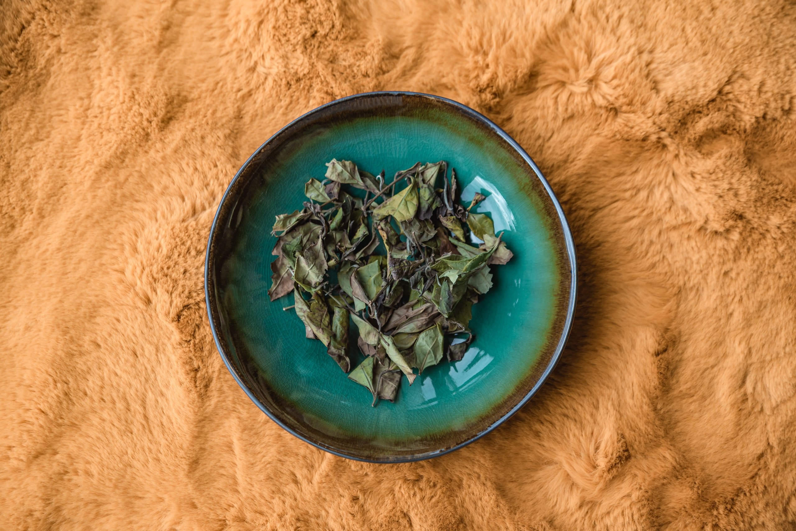 DAO Space. Ekaterina Verbitskaya. Photography