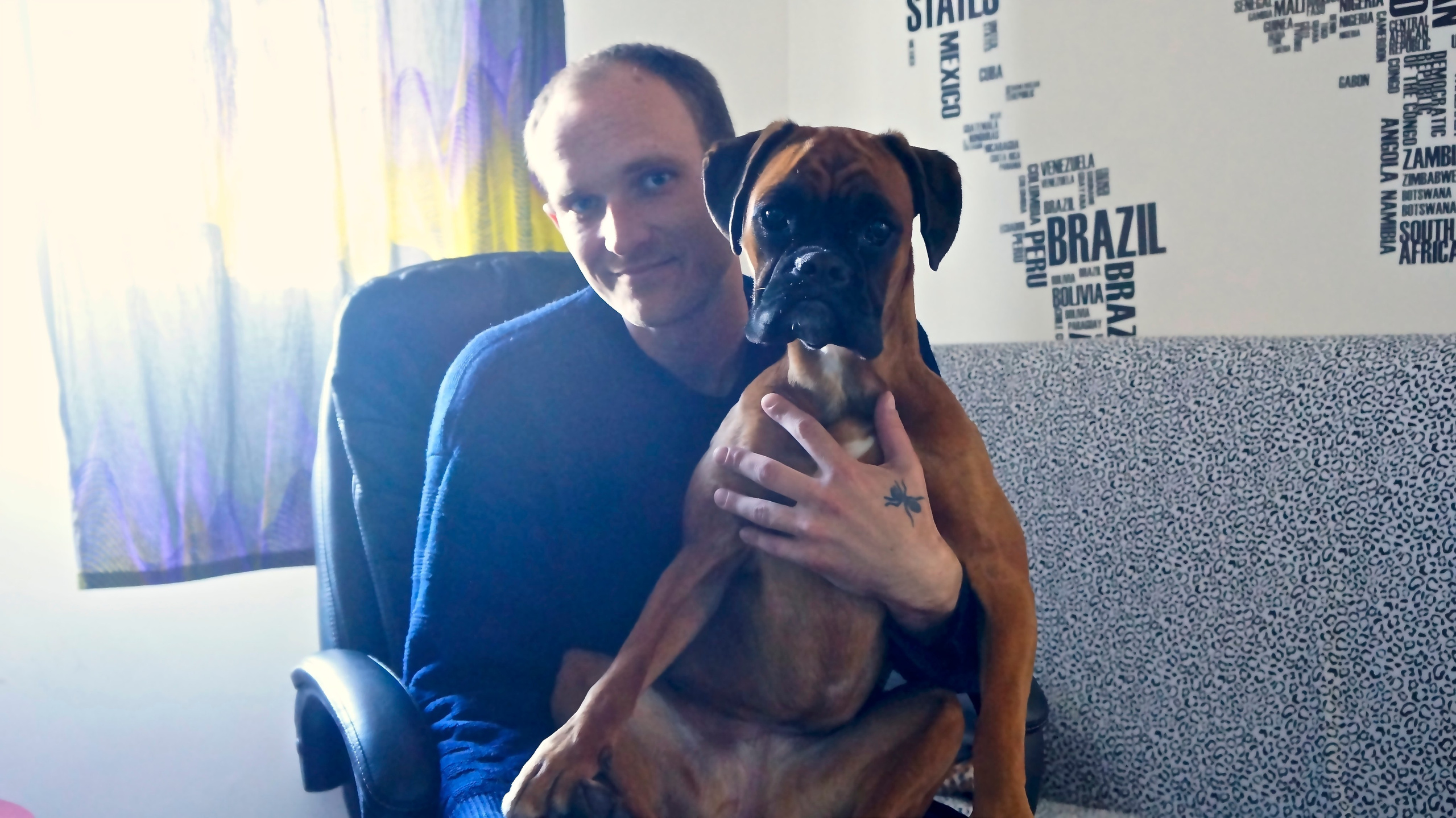 My ״Star״ Boxer Dog