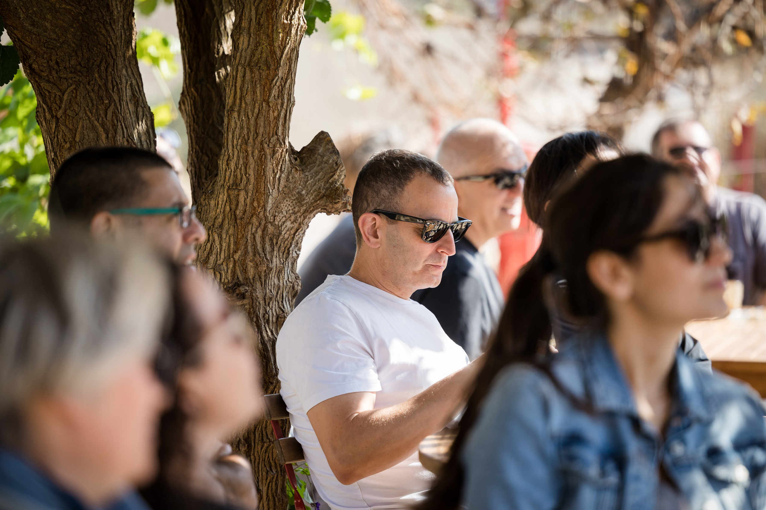 זרעי גדרה — SYNGENTA. AMIR BUCHNIK PHOTOGRAPHER