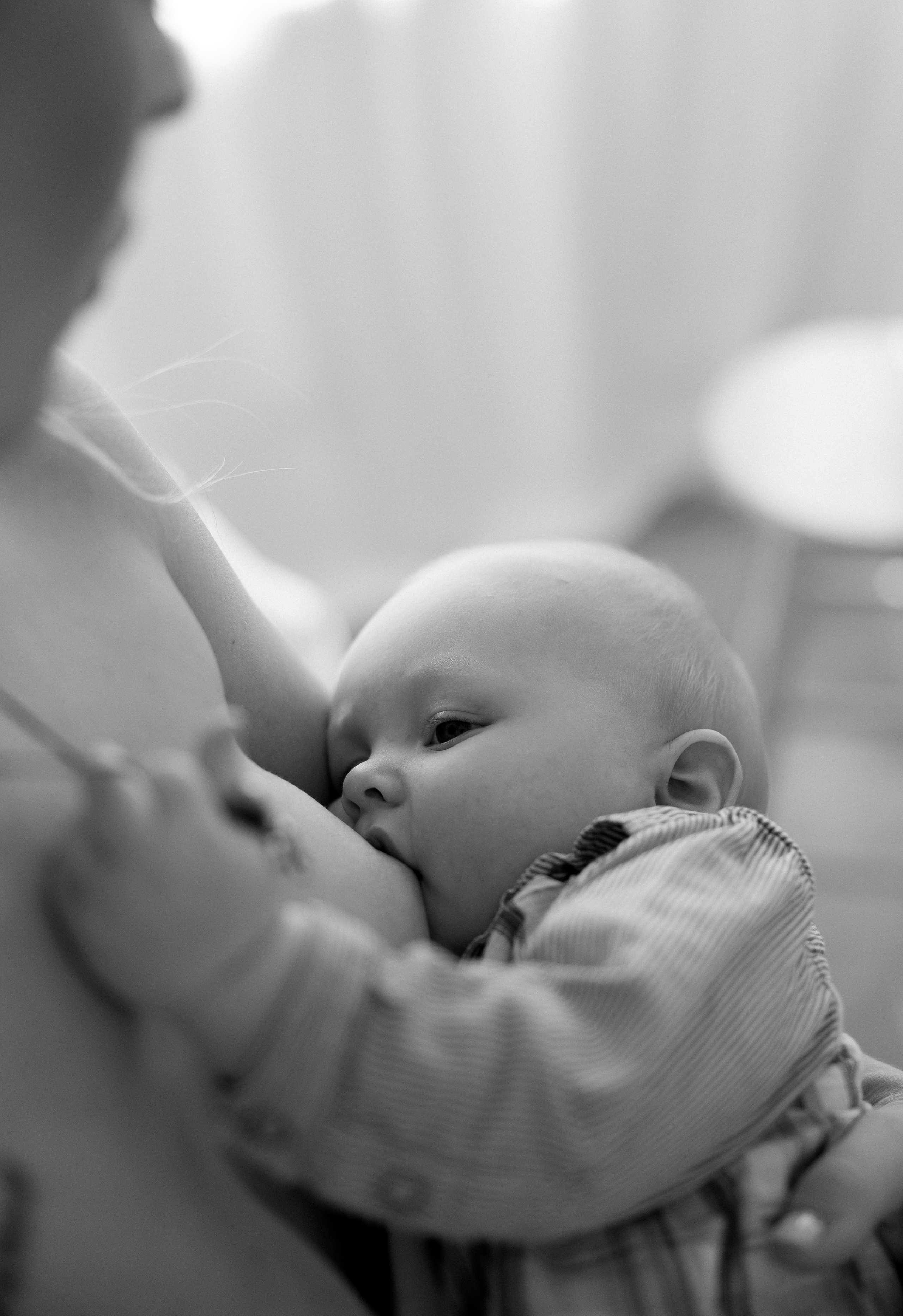 Christmas Family Photoshoot. Photographer Anastasia Nagibina