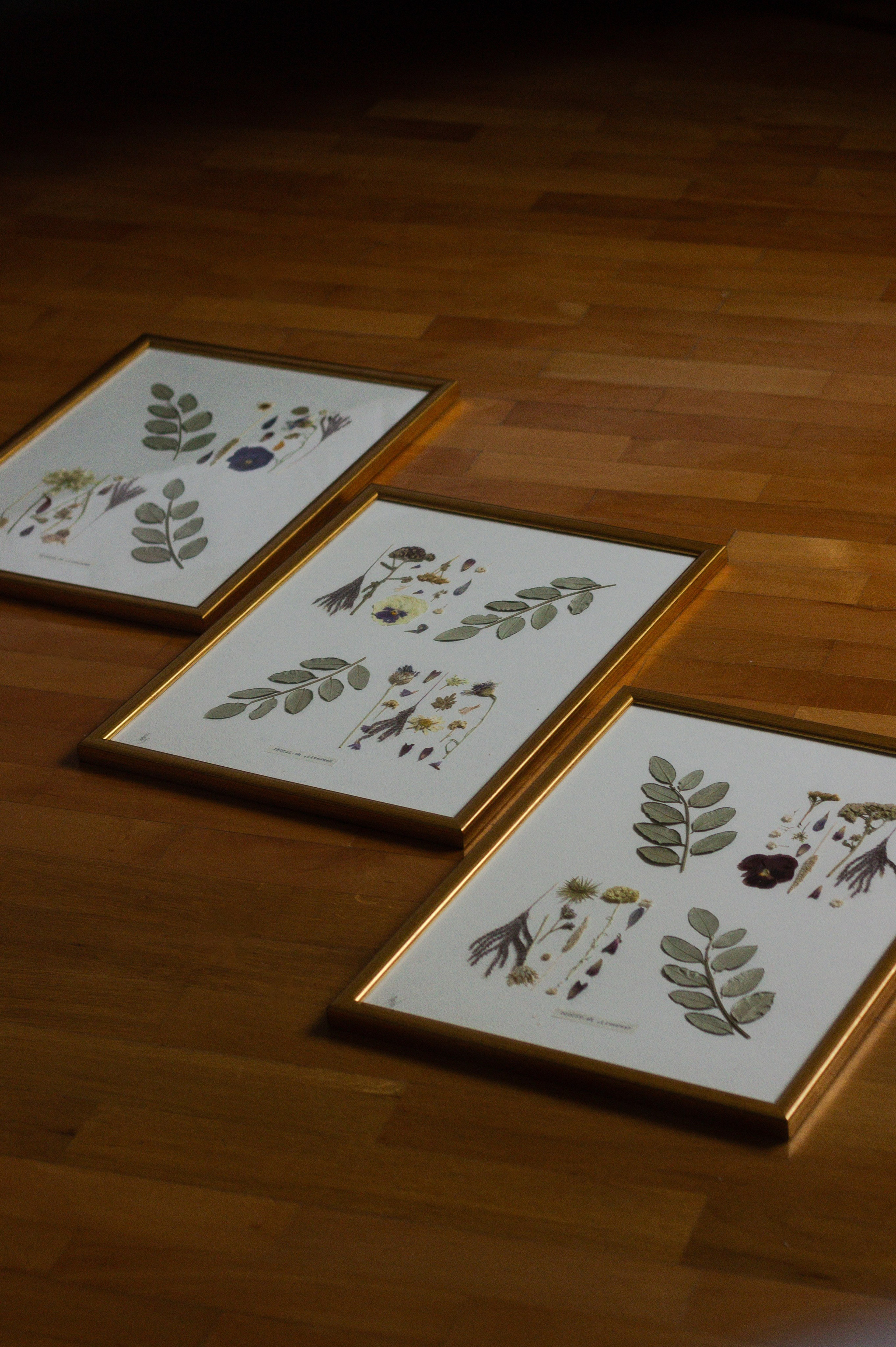 Radovi po narudžbi. Herbarij studio