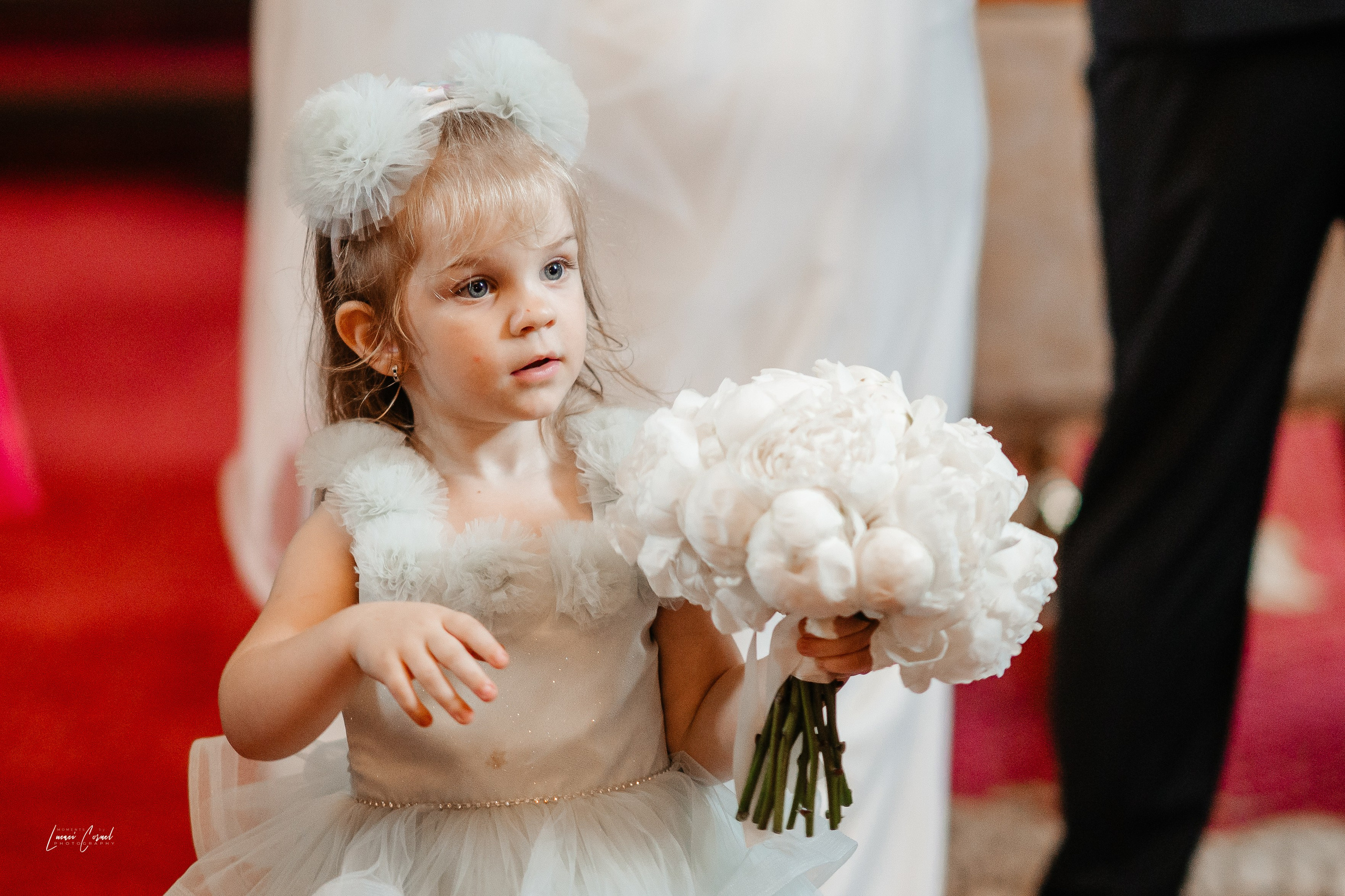 Adina & Alexandru – Nuntă elegantă în Roman. Fotograf de nuntă, corporate, botezuri, majorate și aniversări Roman, Lucaci Cornel