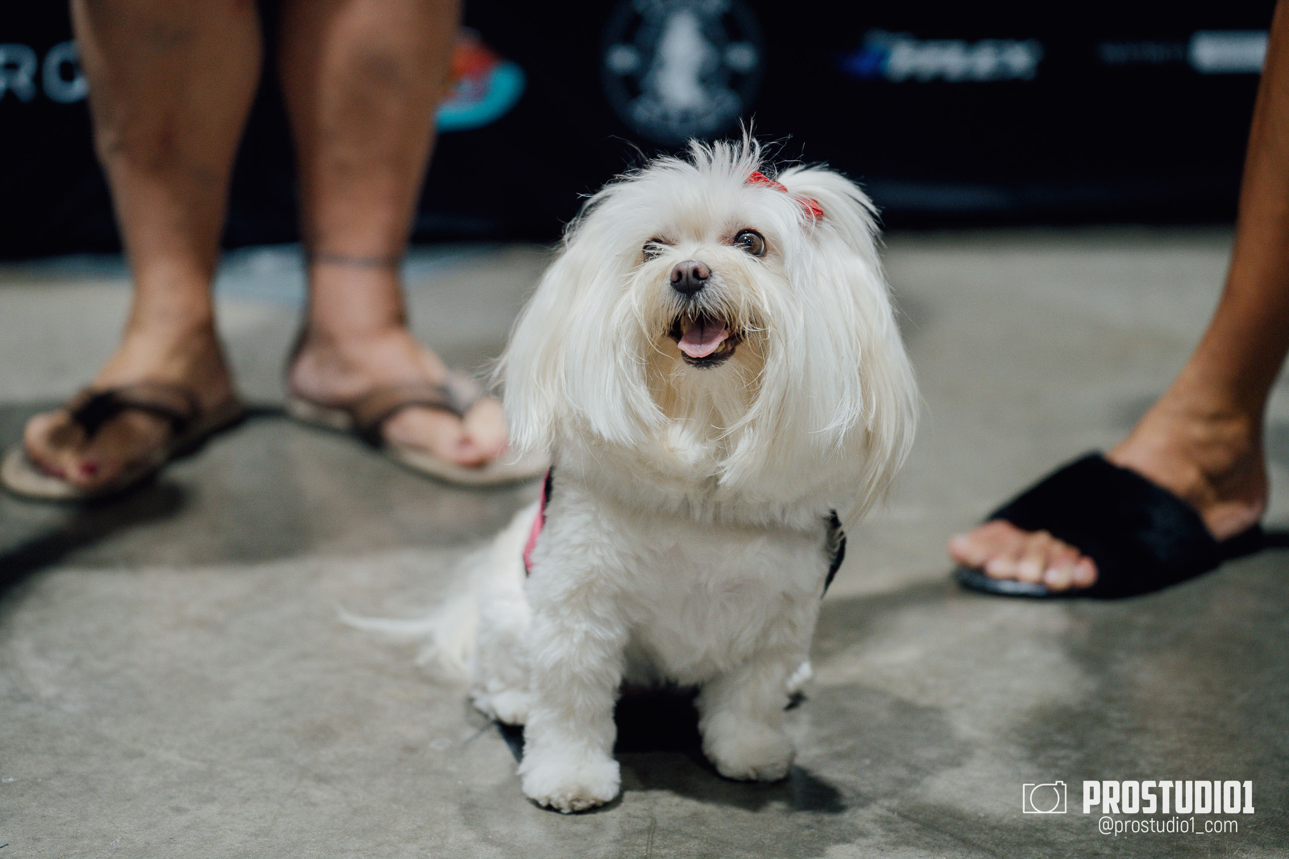 LEGION SPORTS FEST CHECK-IN. Photo & Video Production Studio #1