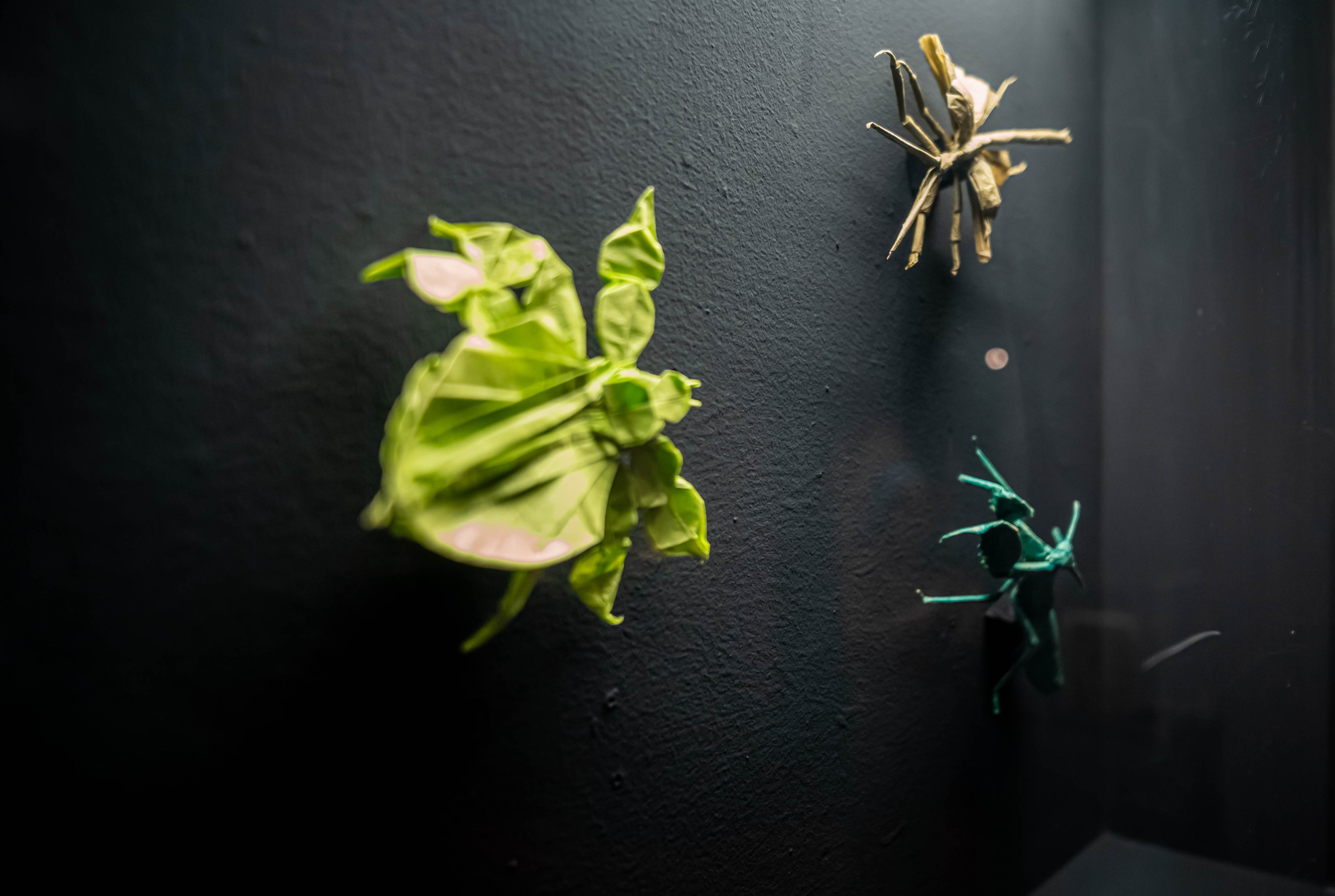 Museo de origami, Zaragoza. Alba del Norte Studio