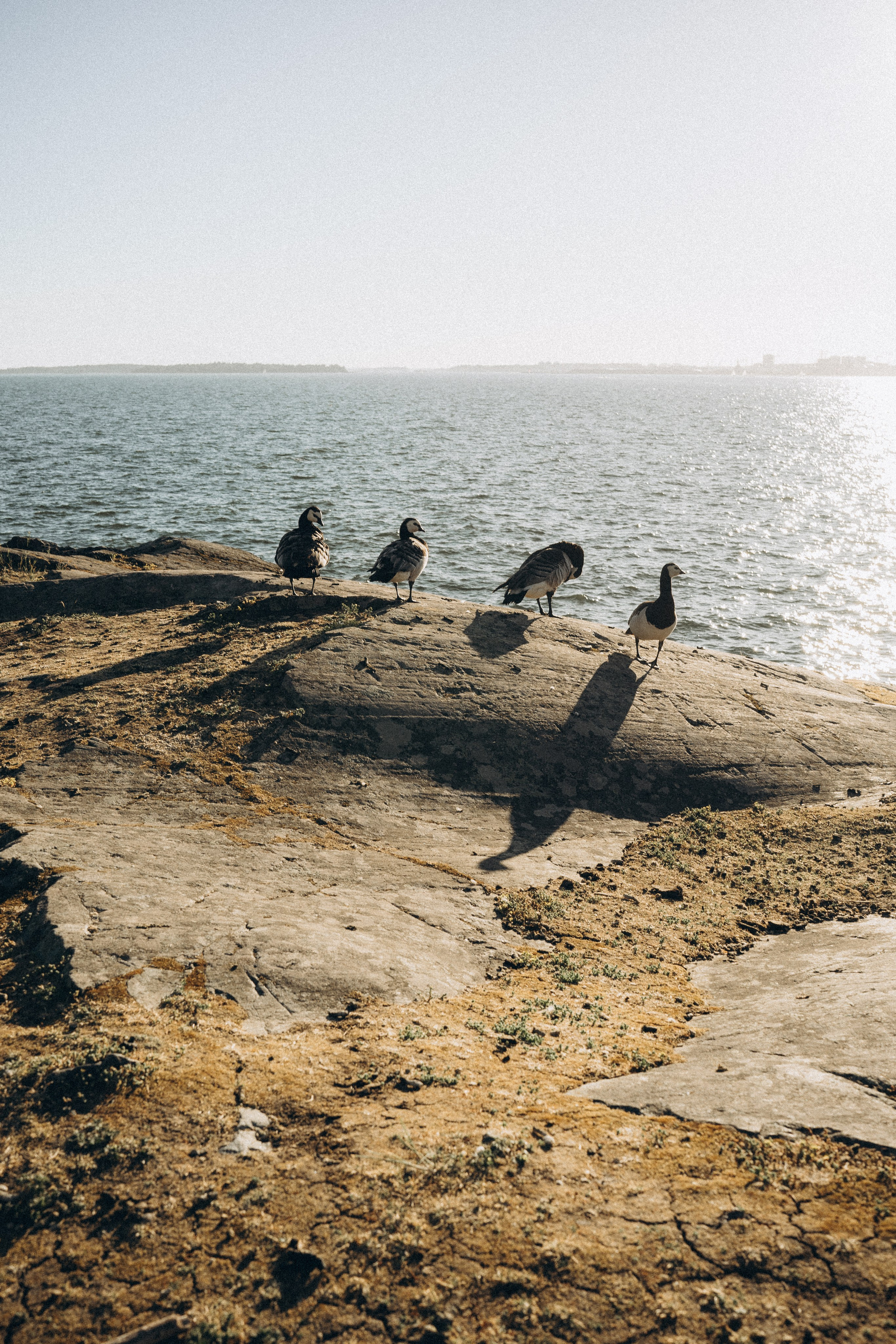 Beloved. Wedding and potrait photographer in Helsinki Vickan O